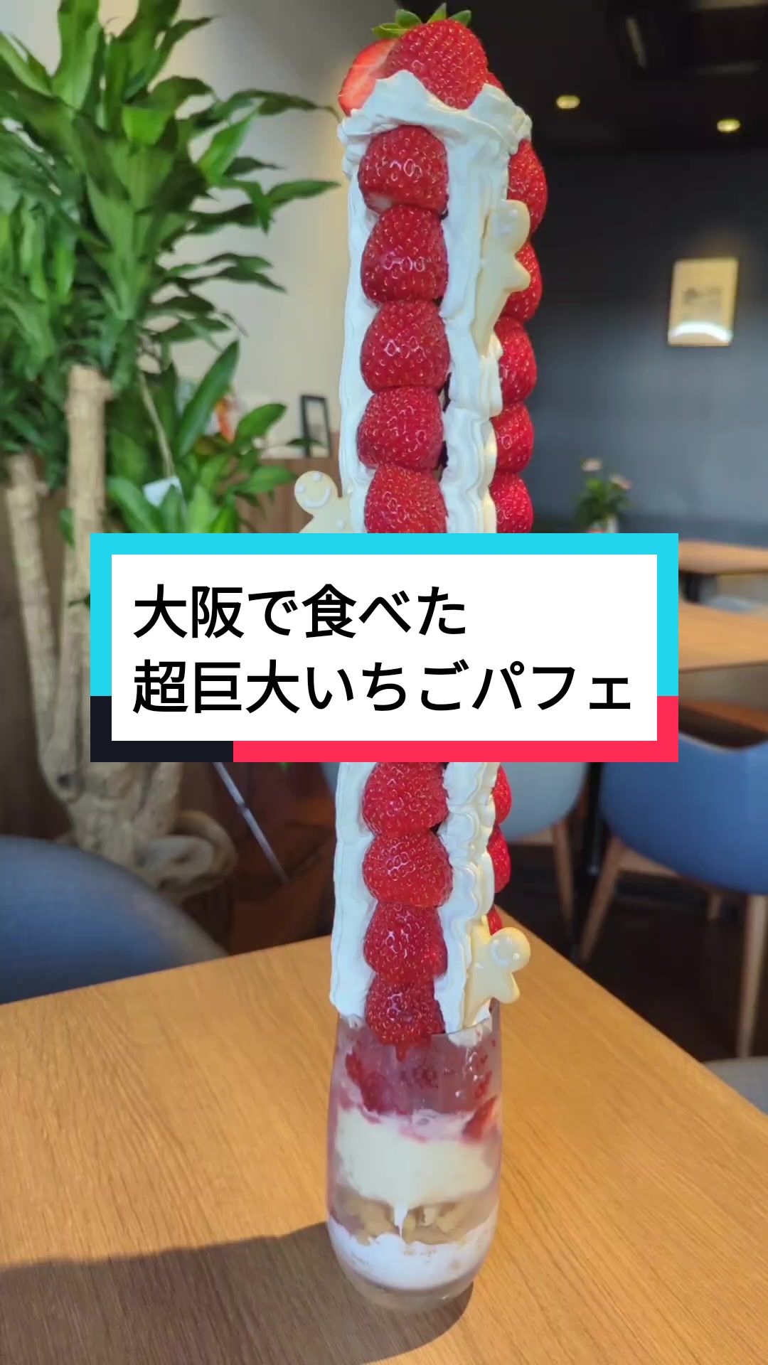 ひかり鍼灸院