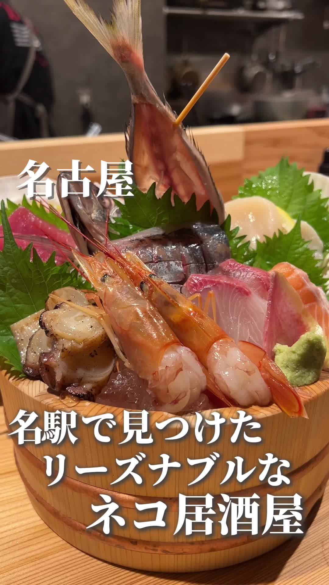 ネコにマタタビ 名駅店