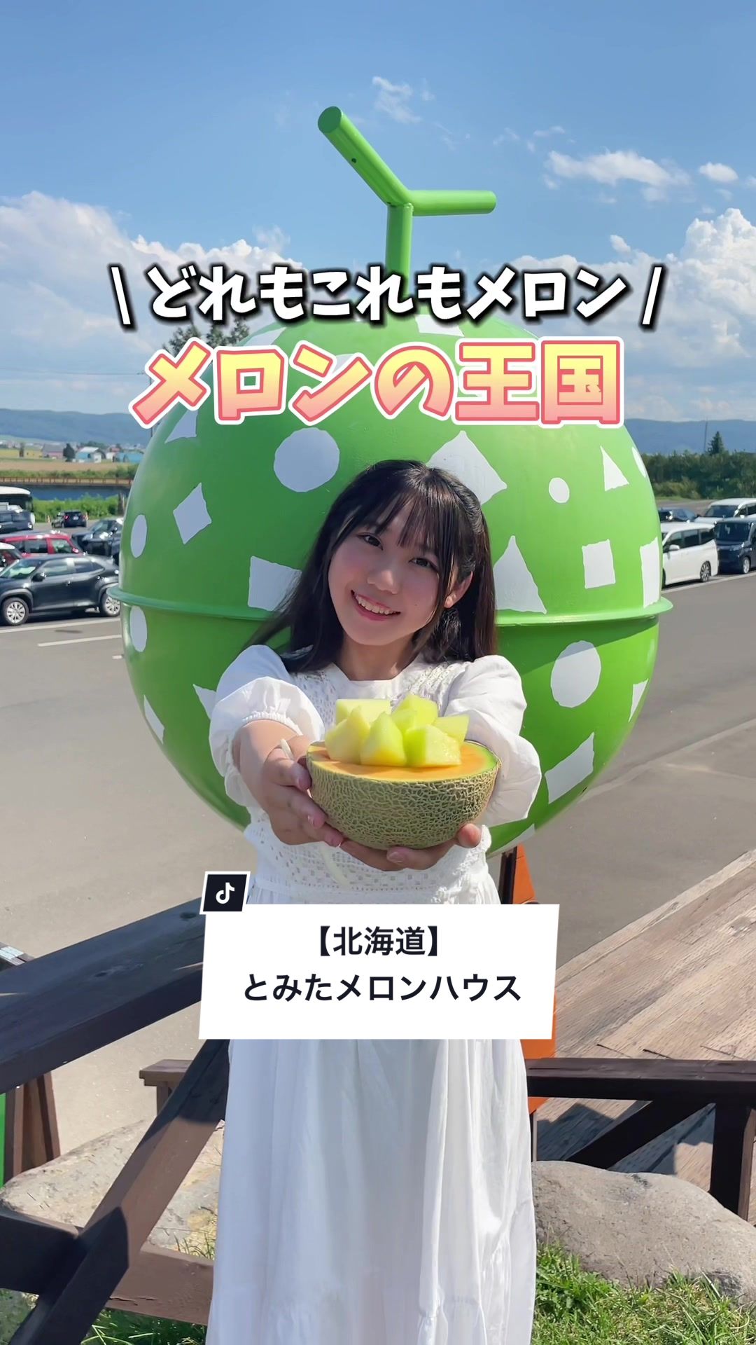とみたメロンハウス
