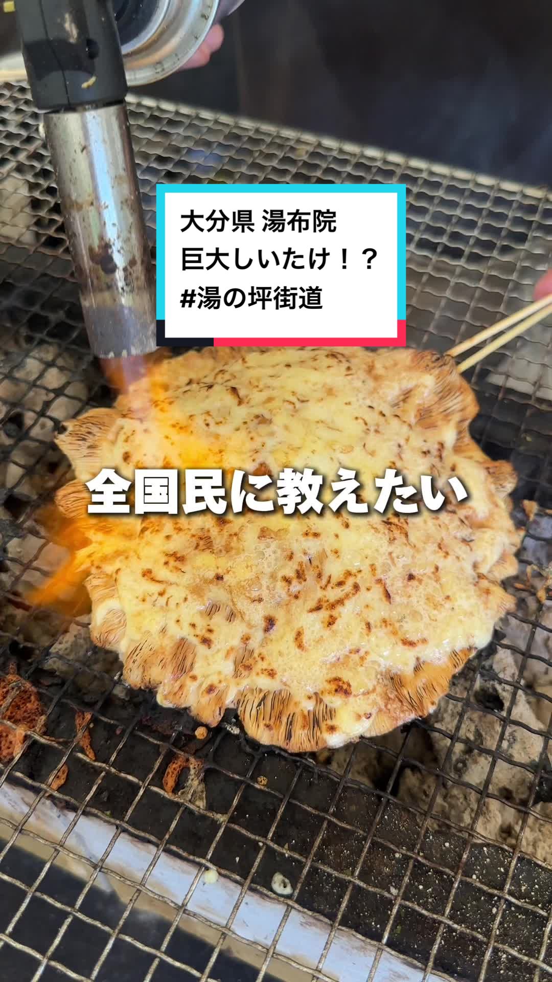 湯布院shiitakemonster