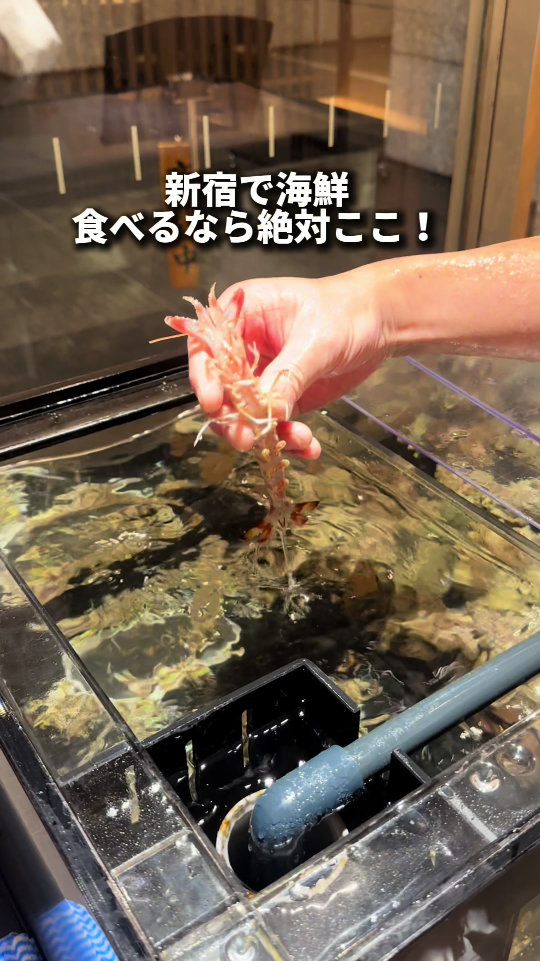 魚がイチバン 西新宿駅前店