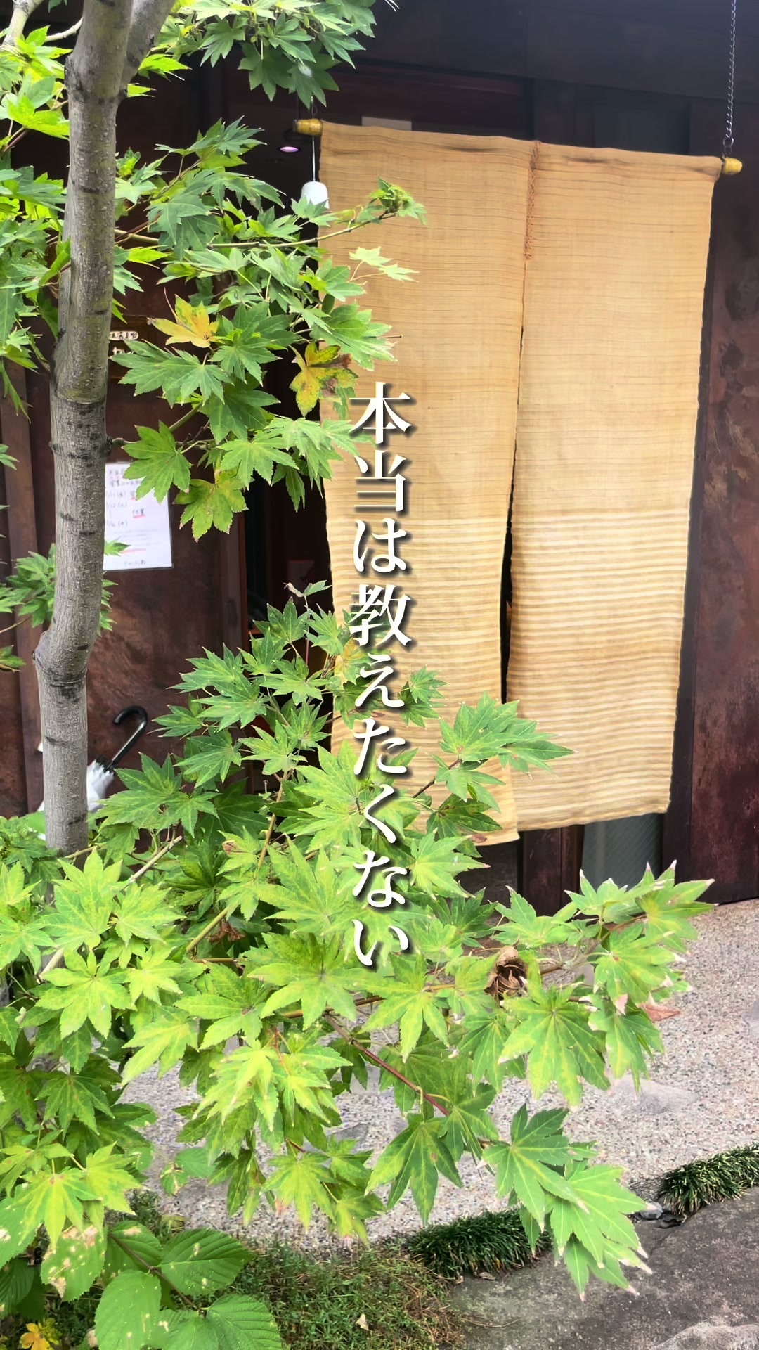 さかふね
