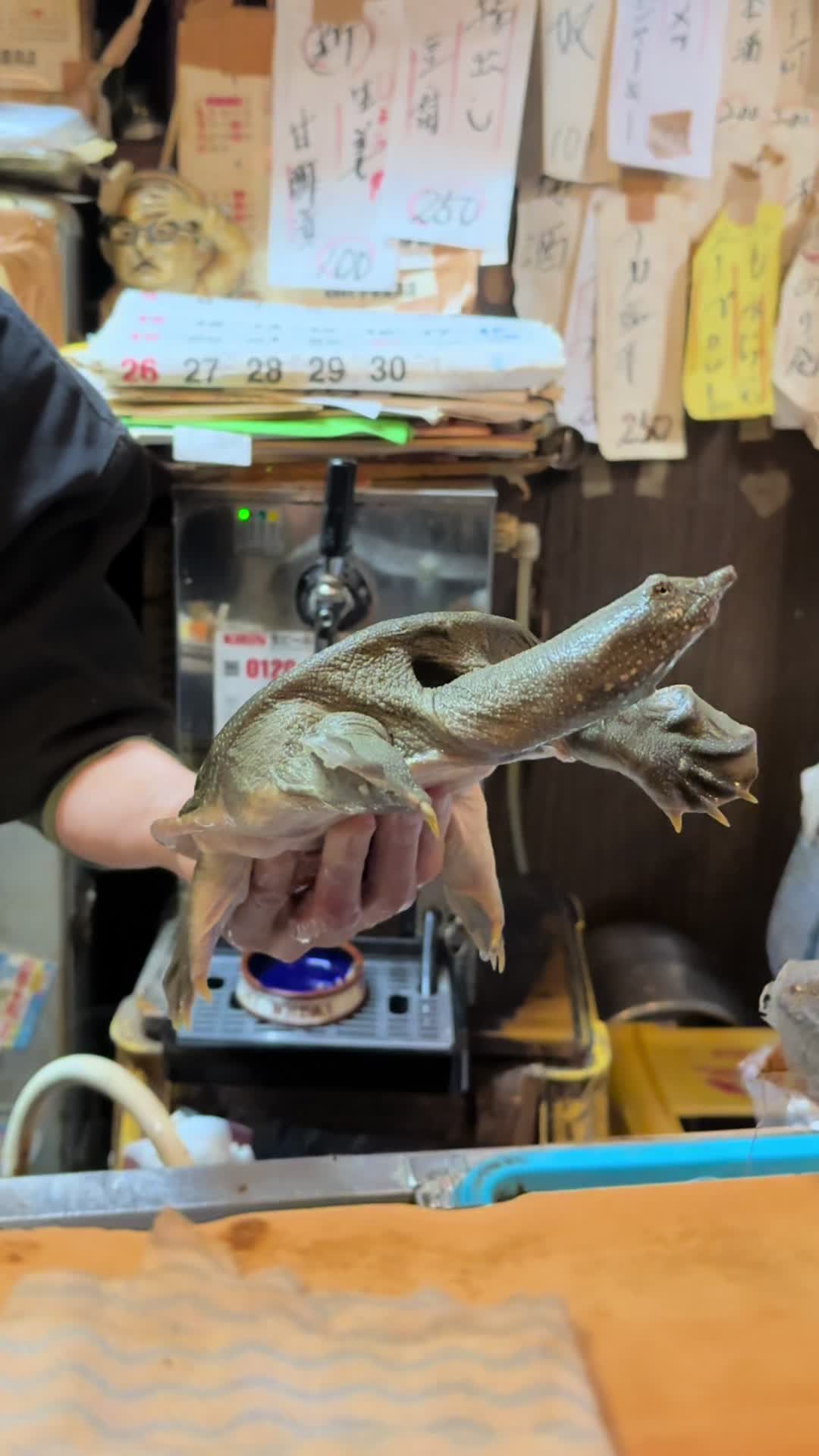 ふぐ・すっぽん料理 もみぢ