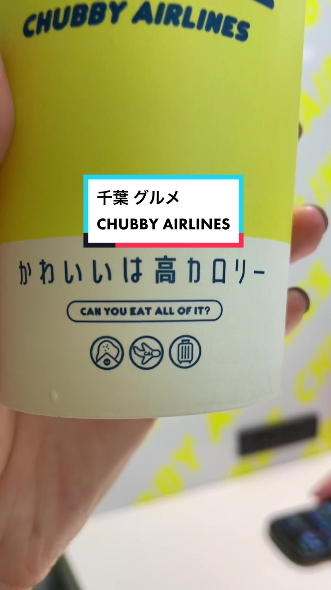 CHUBBY AIRLINES