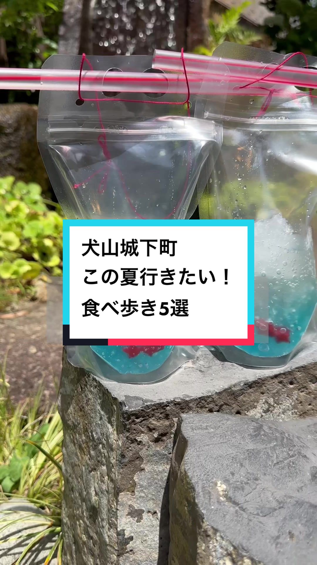 犬山城下町