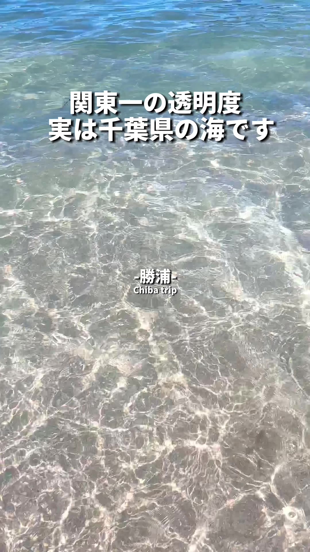 守谷海水浴場