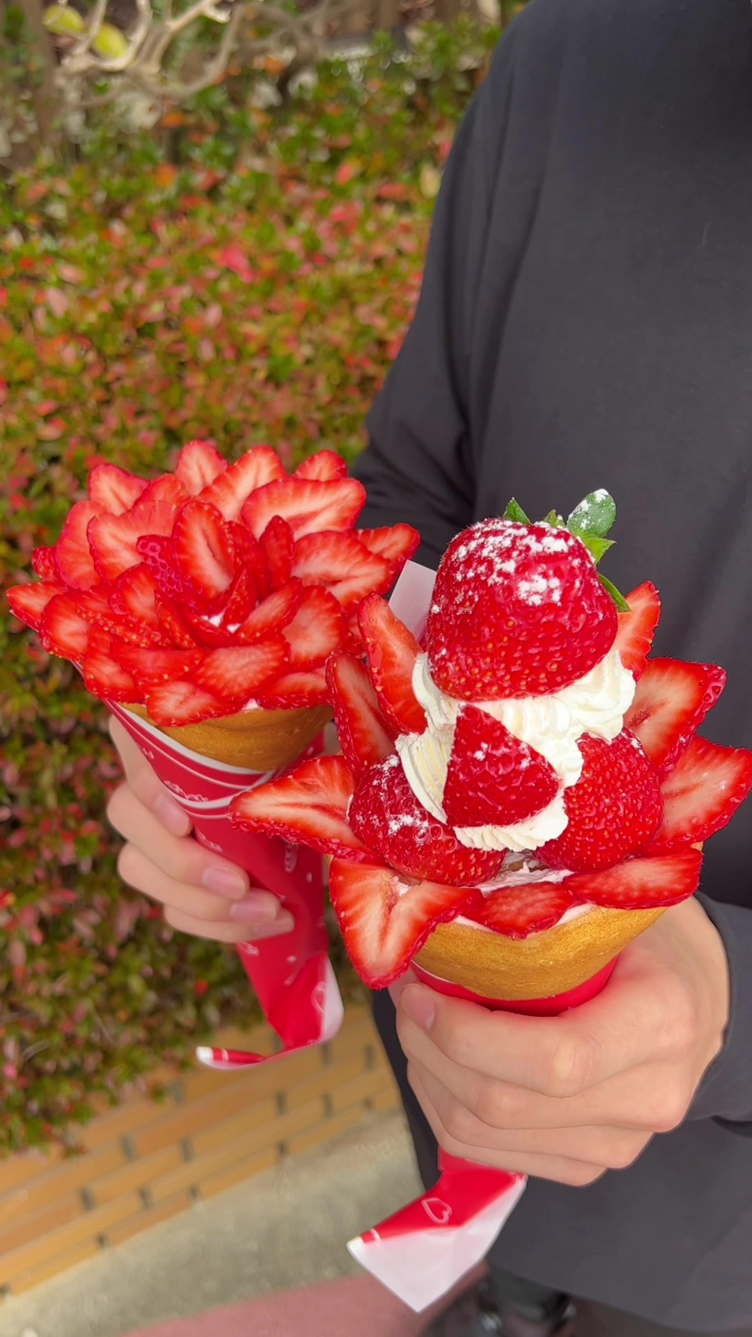 Crepe de Happiness