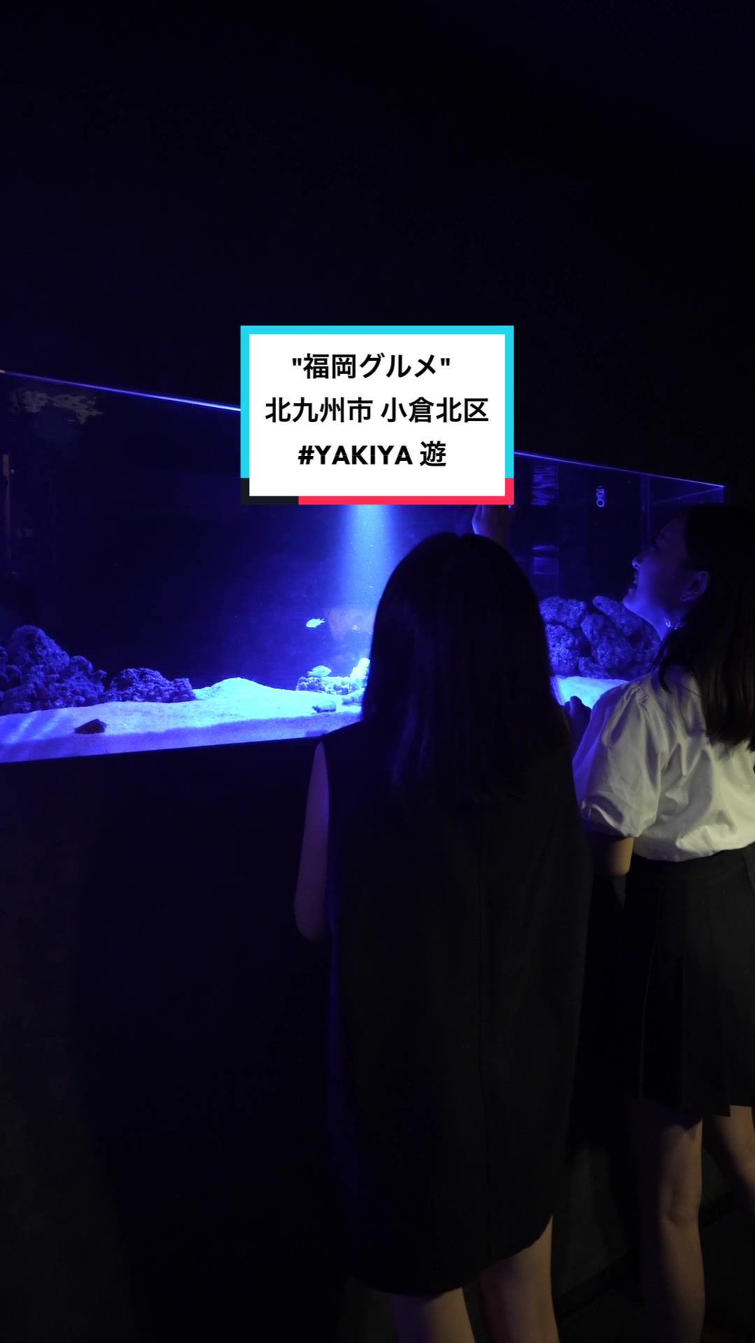 焼肉 ホルモンYAKIYA 遊