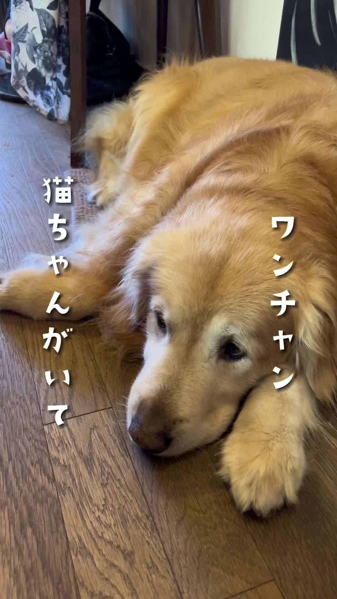 平山家ｃａｆｅ