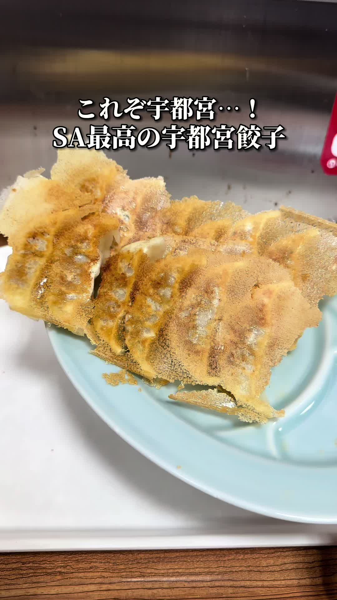 宇都宮餃子 豚嘻嘻 上河内SA下り