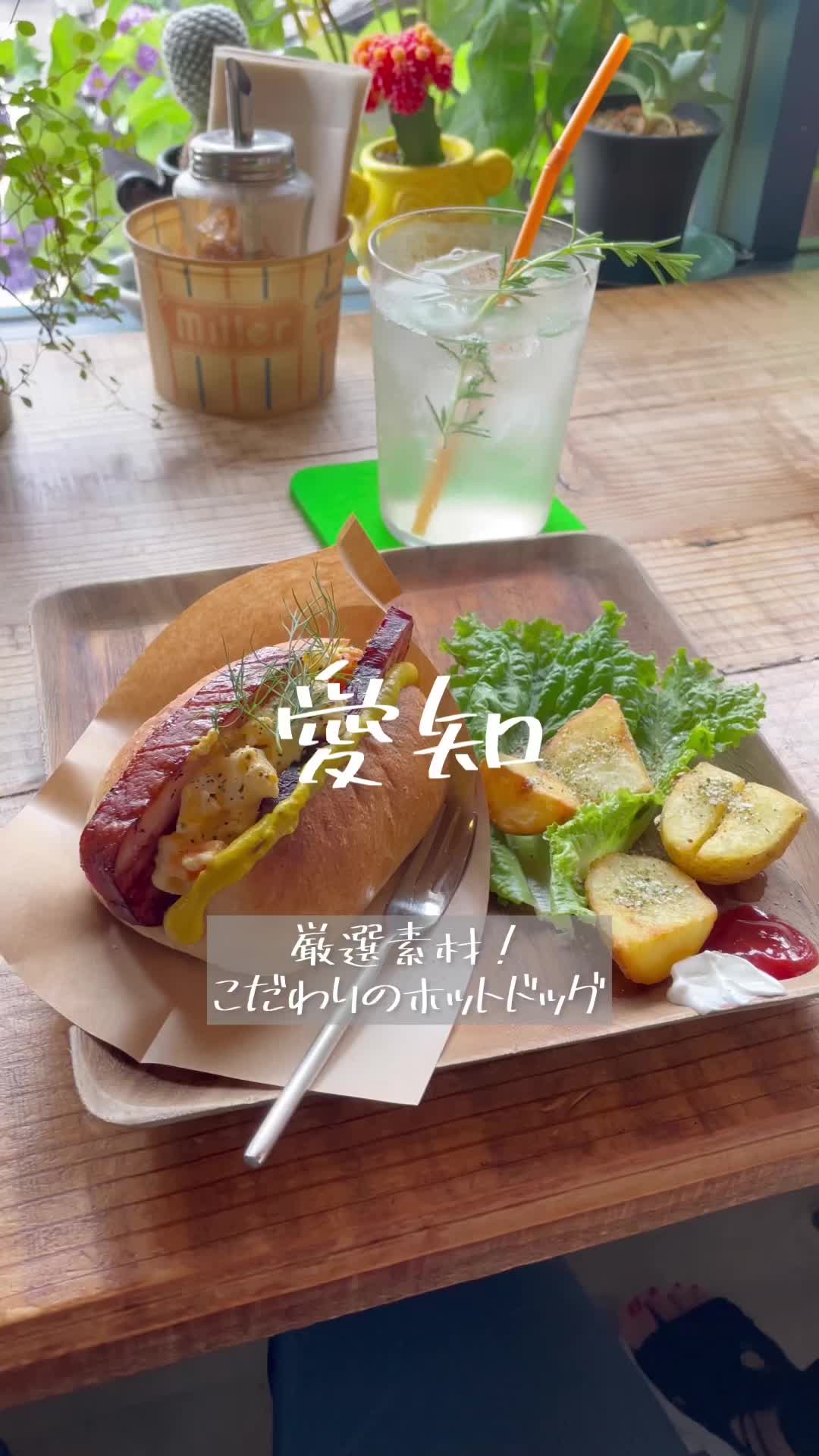 サニーデイサーカス