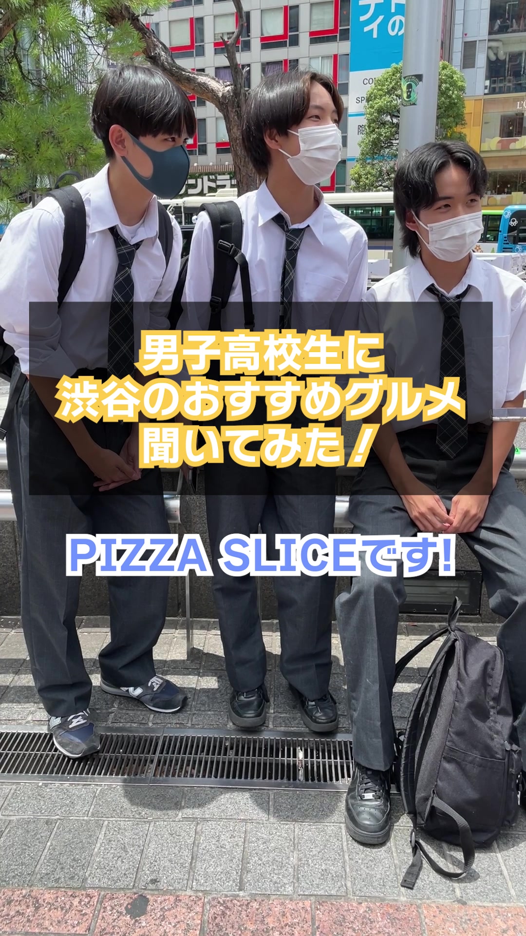 PIZZA SLICE