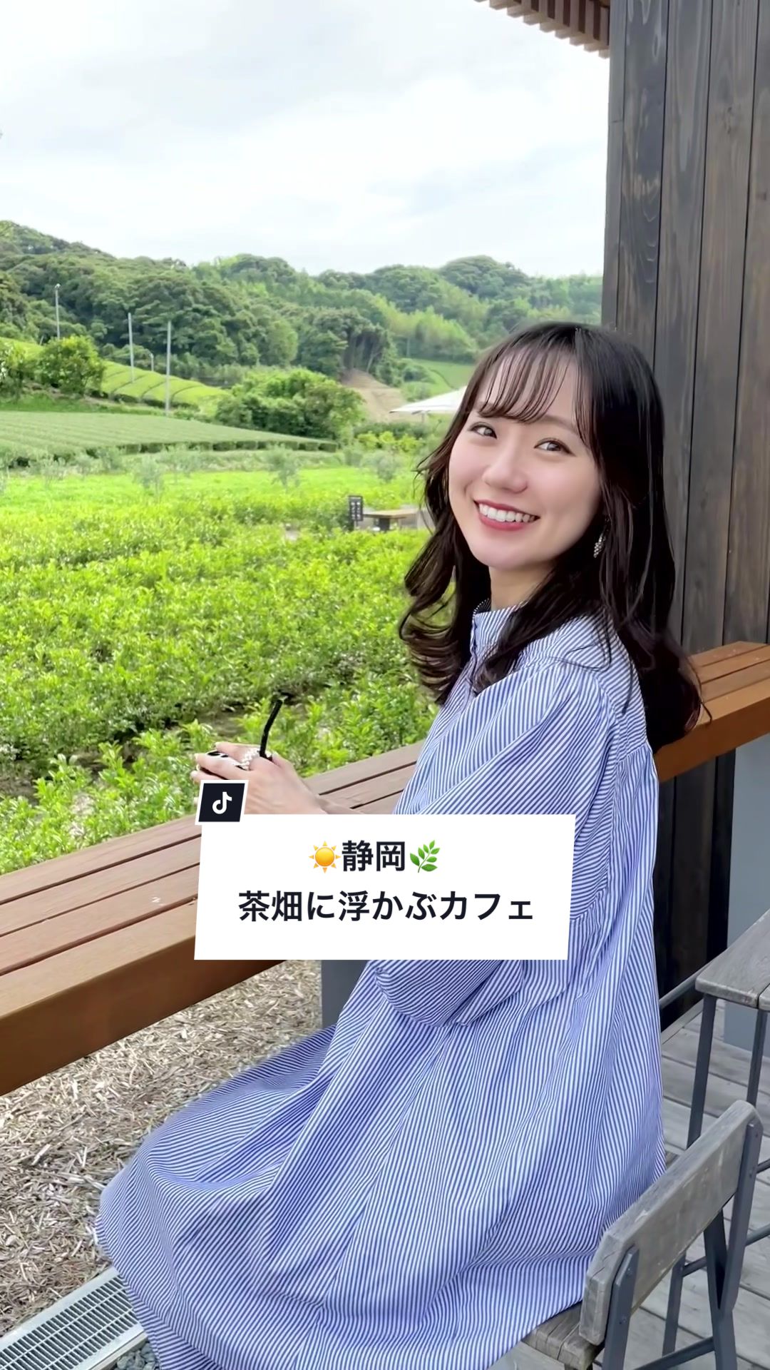 茶の庭