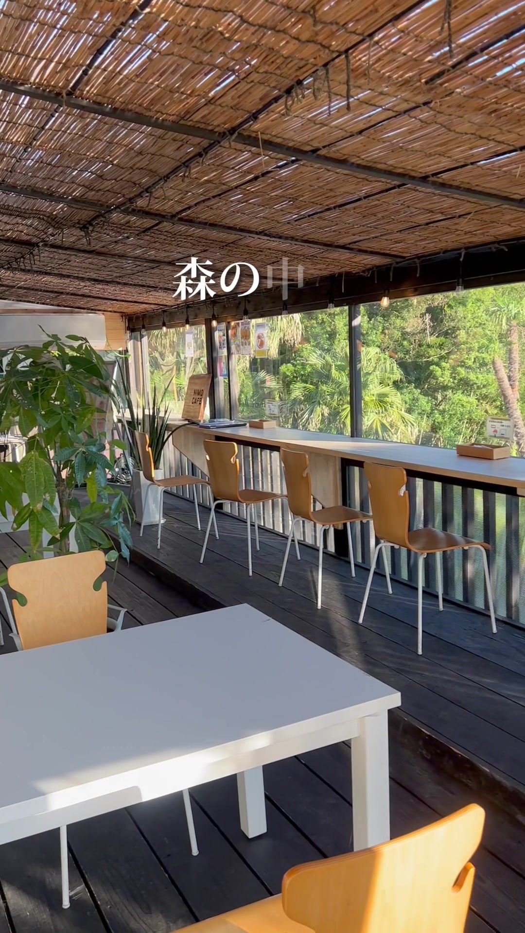 nimo cafe