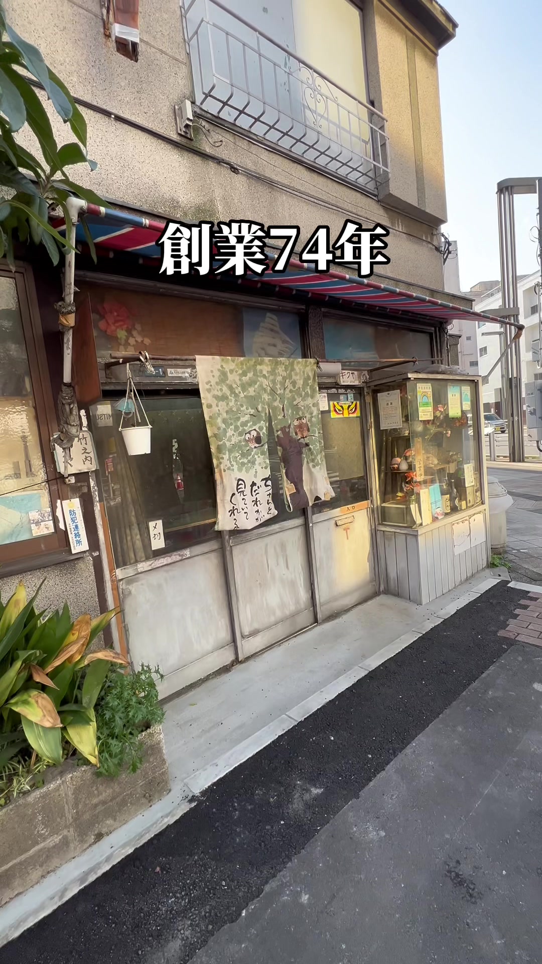 菊屋