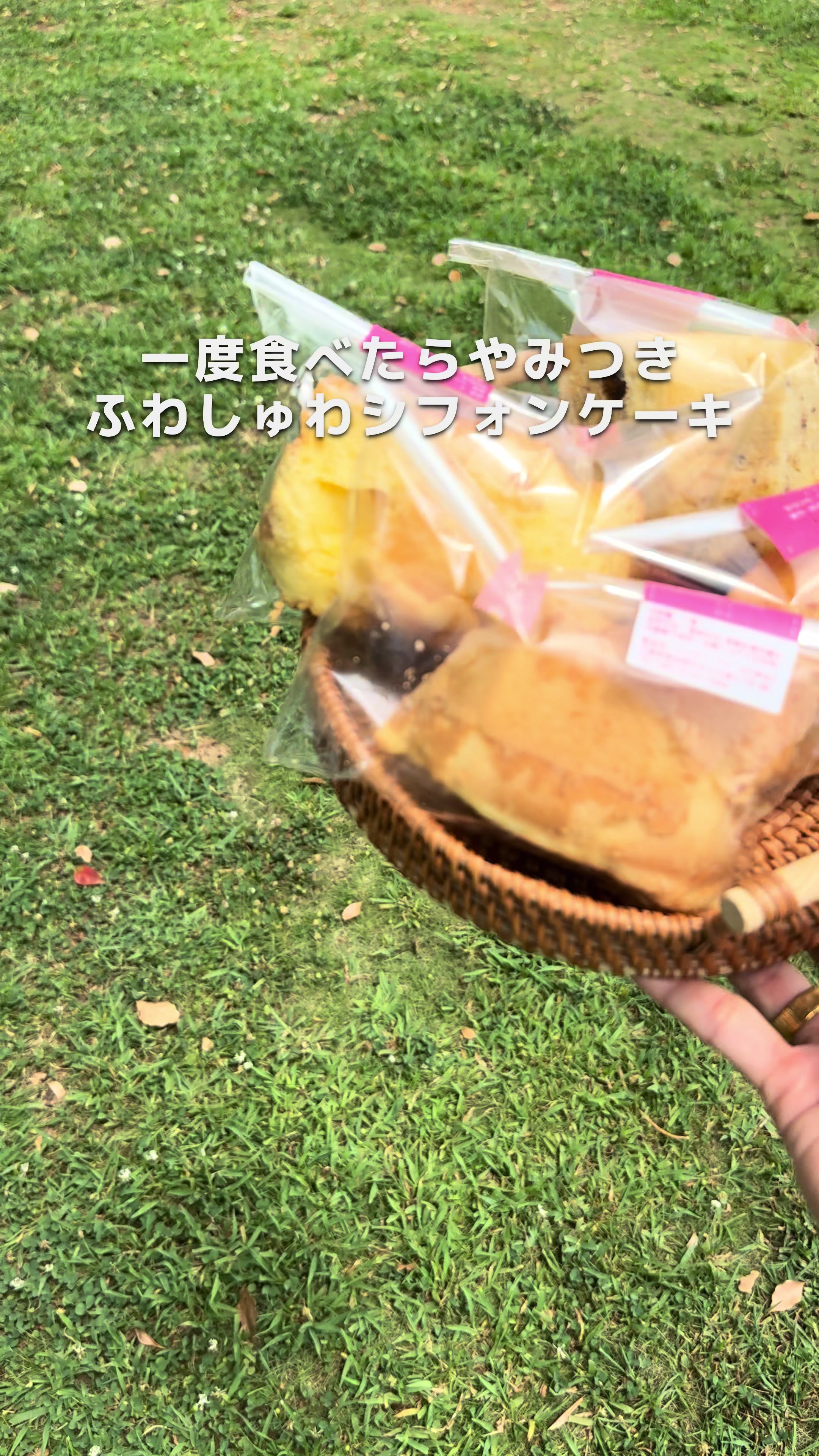 シフォンケーキの店 シュガー・ママ