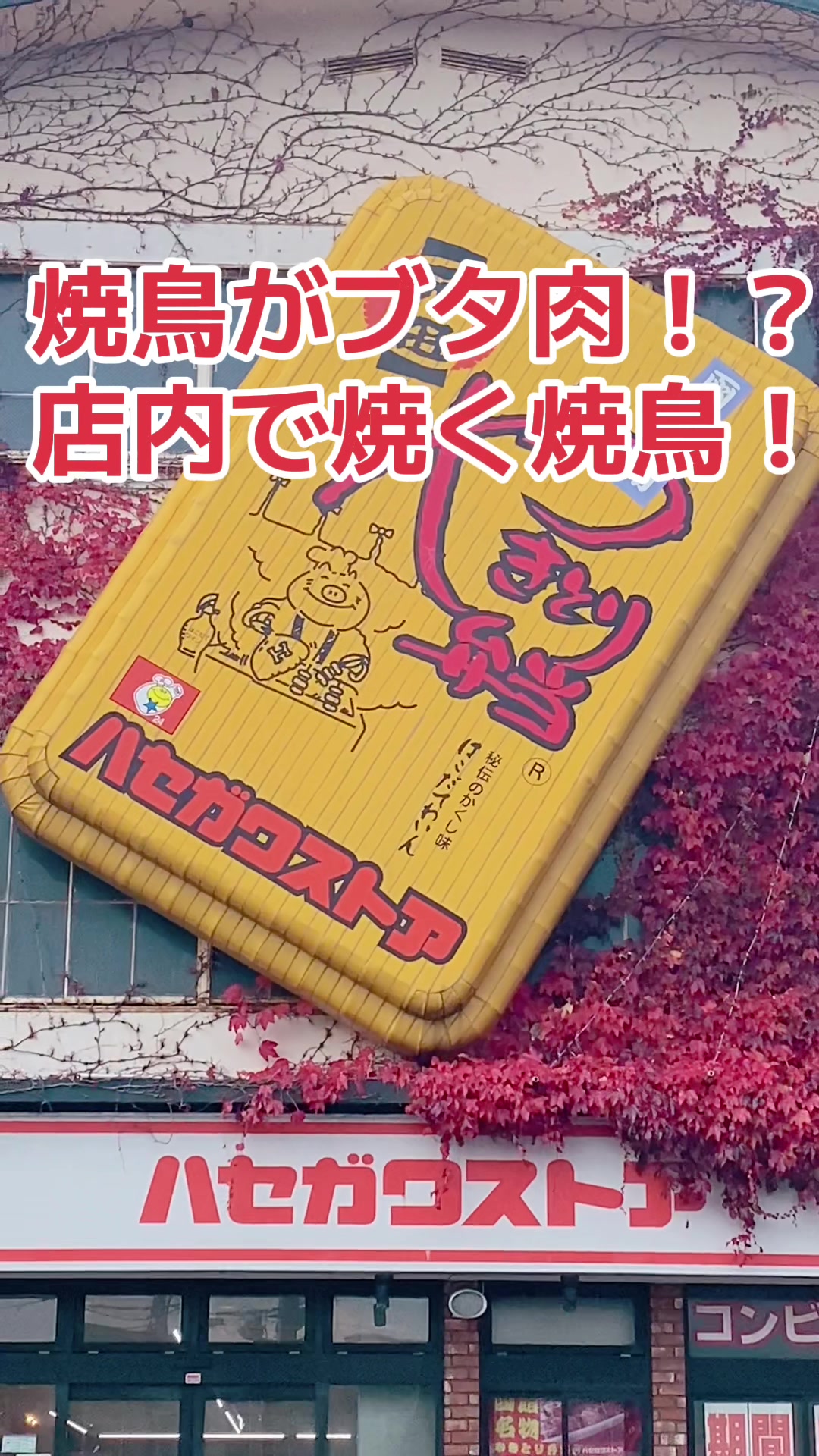 ハセガワストア ベイエリア店