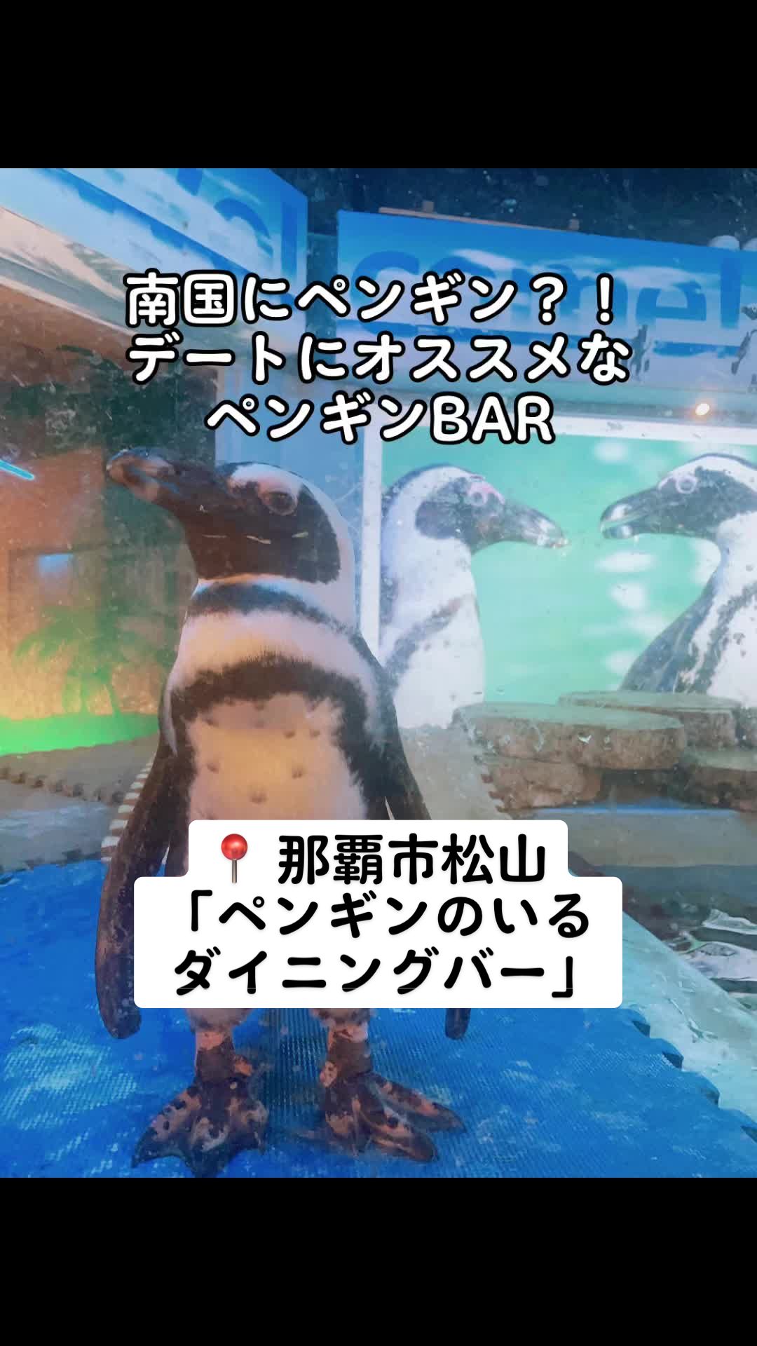 ペンギンのいるダイニングバー