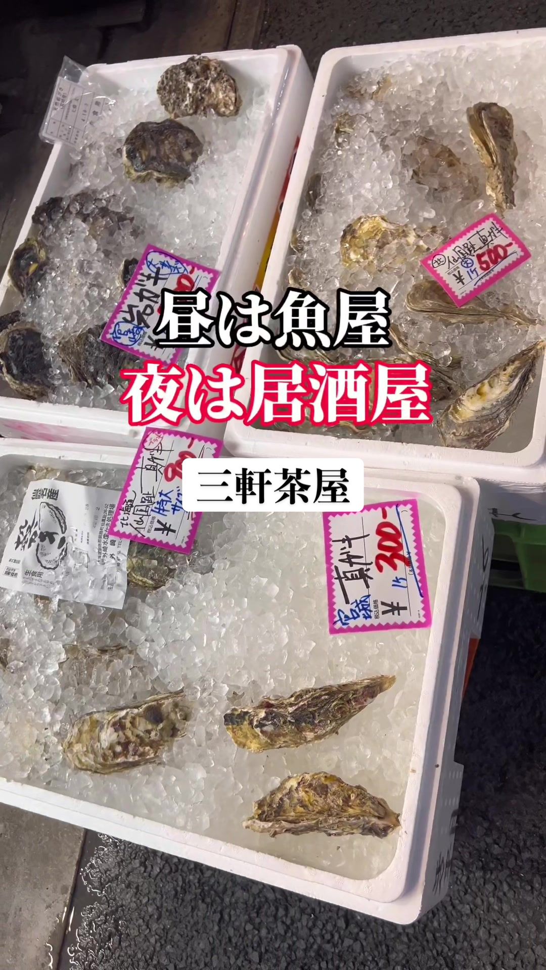 おさかな魚四季