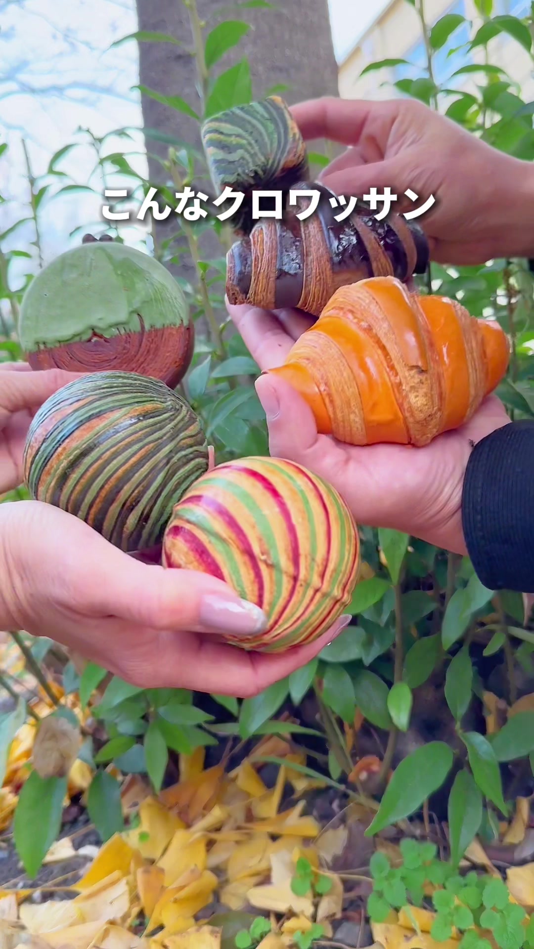コクリコブラン