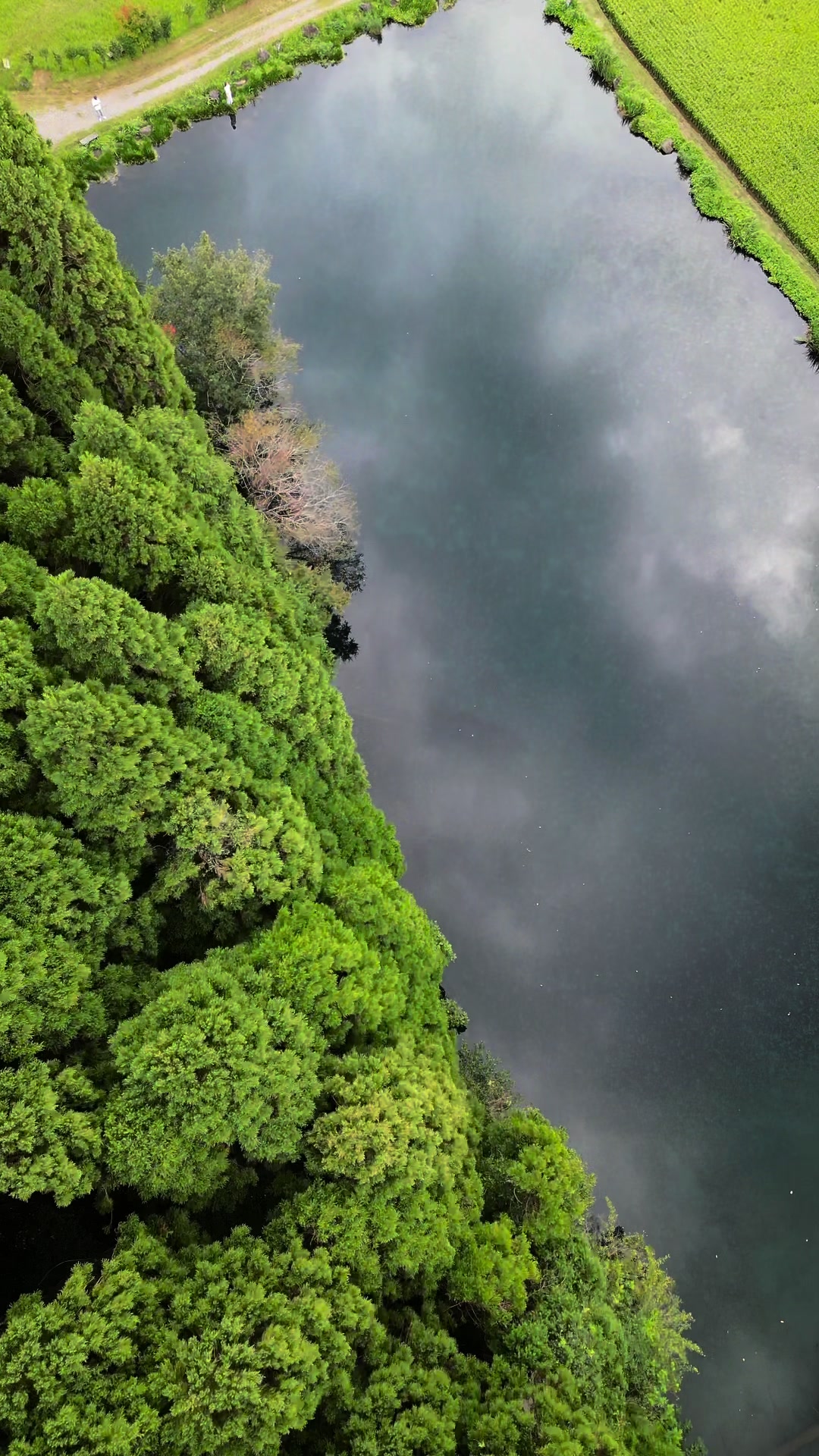 陣の池