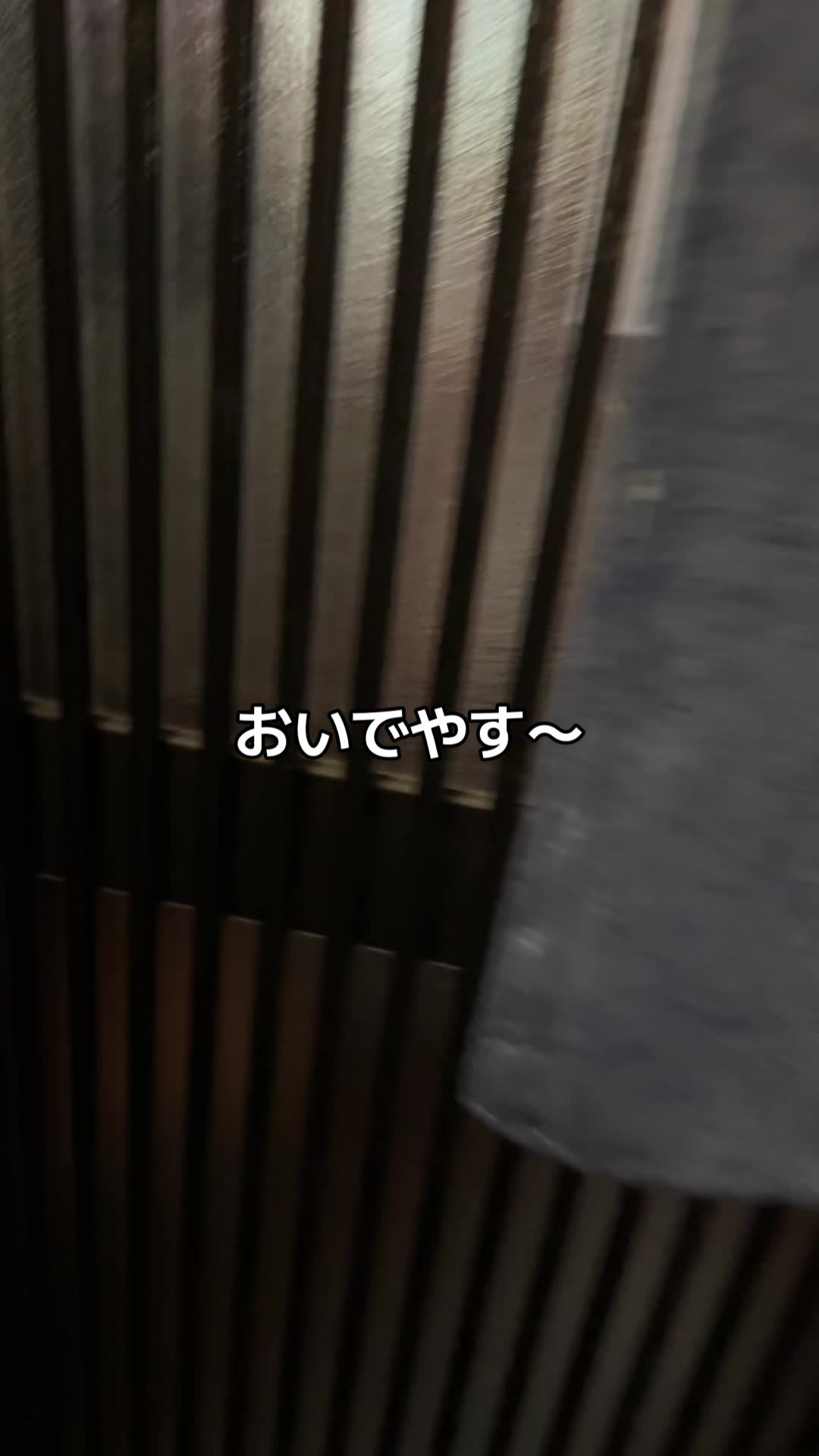 おいでやす