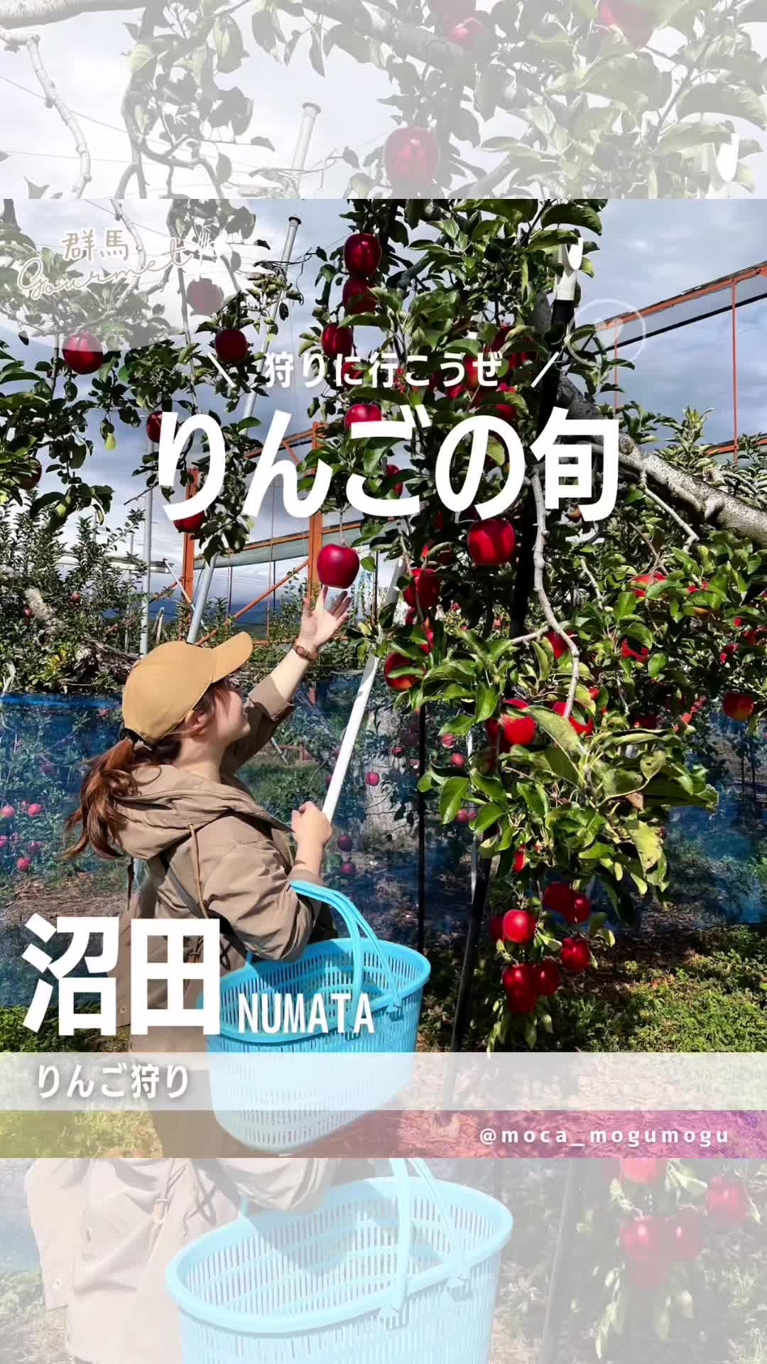 染谷りんご園