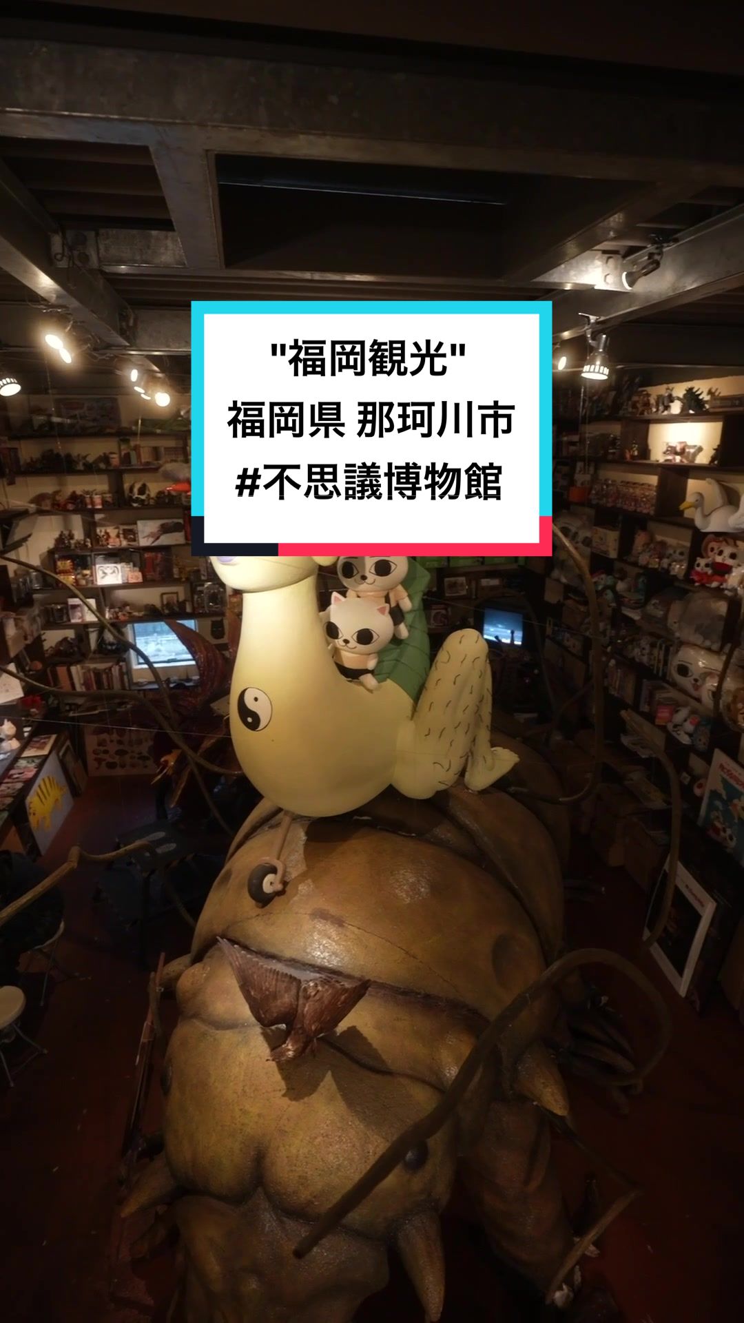 不思議博物館
