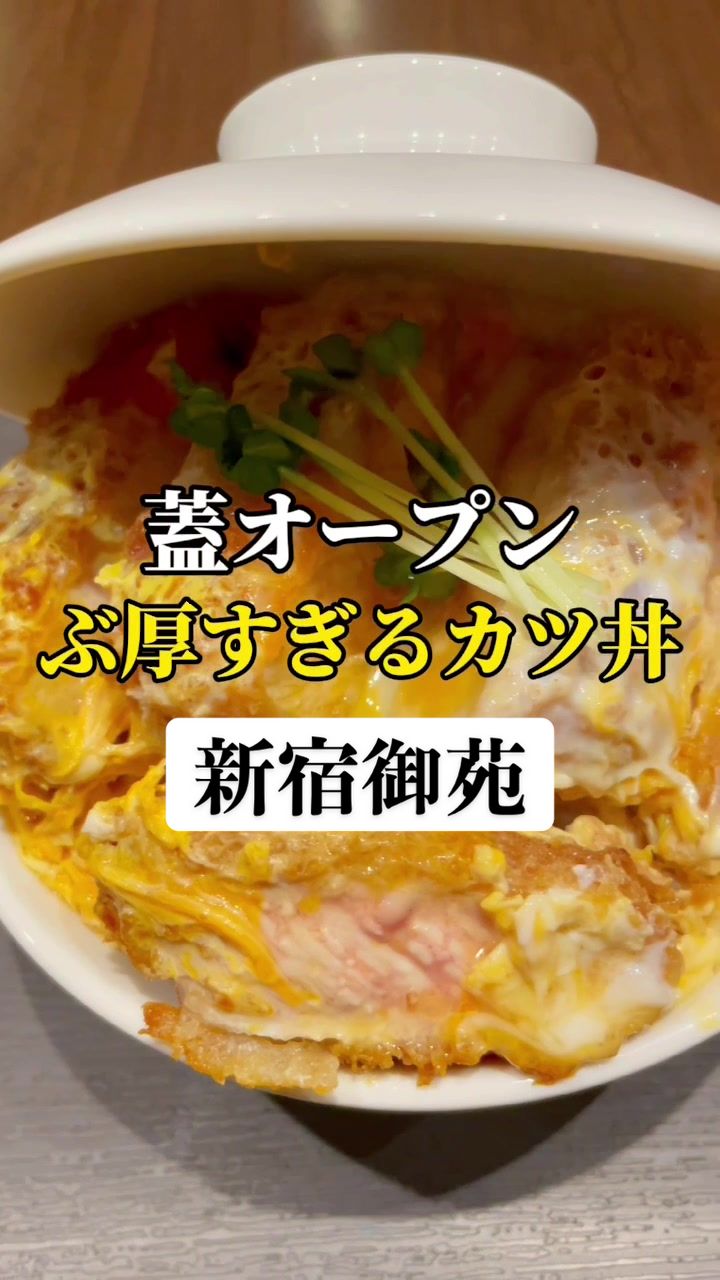 かつ丼 天下星