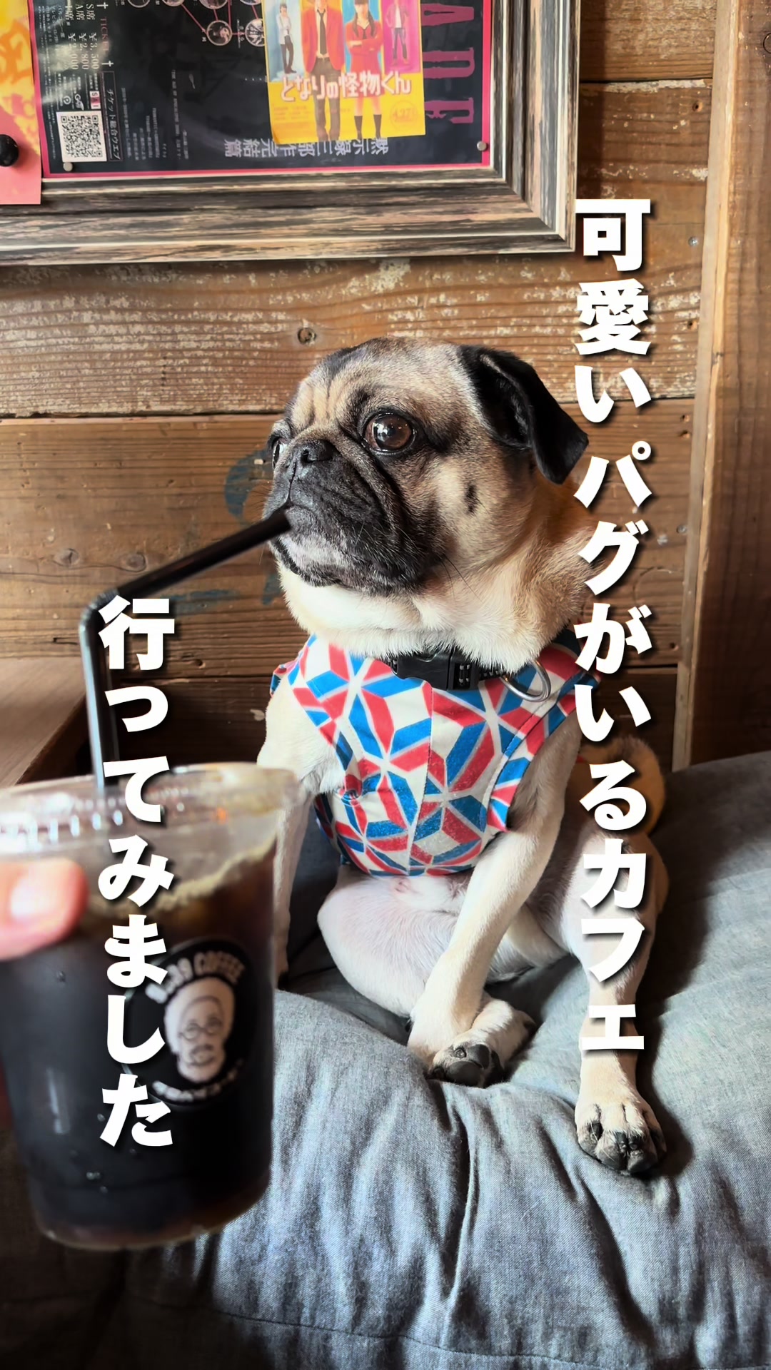 THE BEANS ROASTER 9689coffee - 予約はこちら | HAMONI