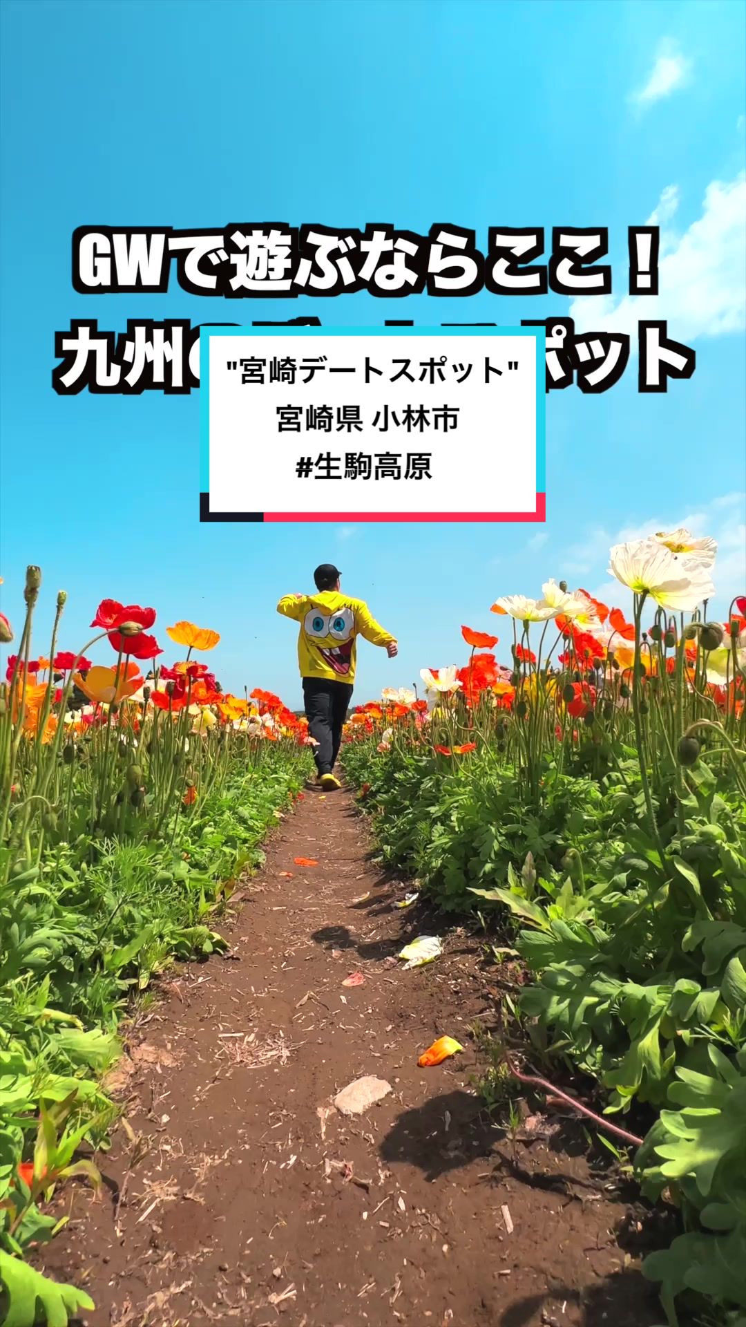 宮崎県