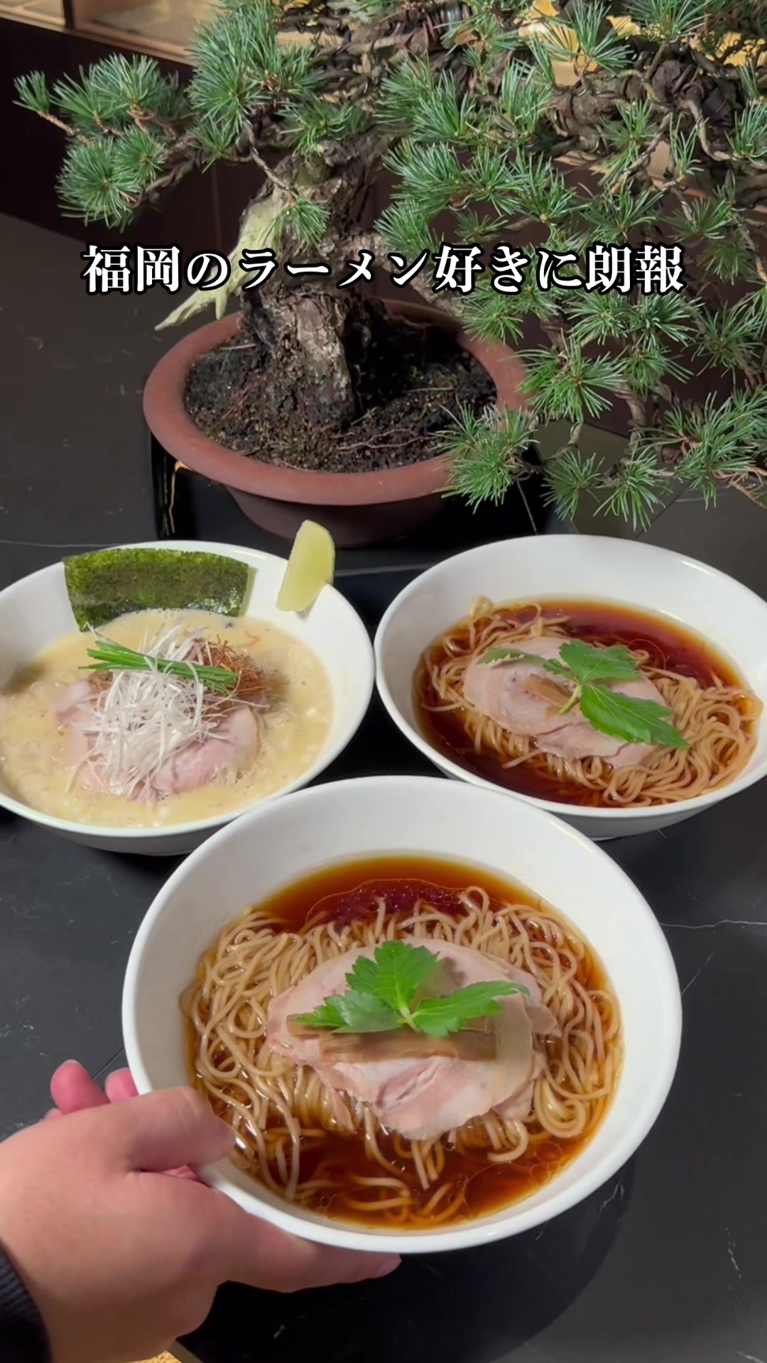 Japanese Ramen Noodle Lab Q
