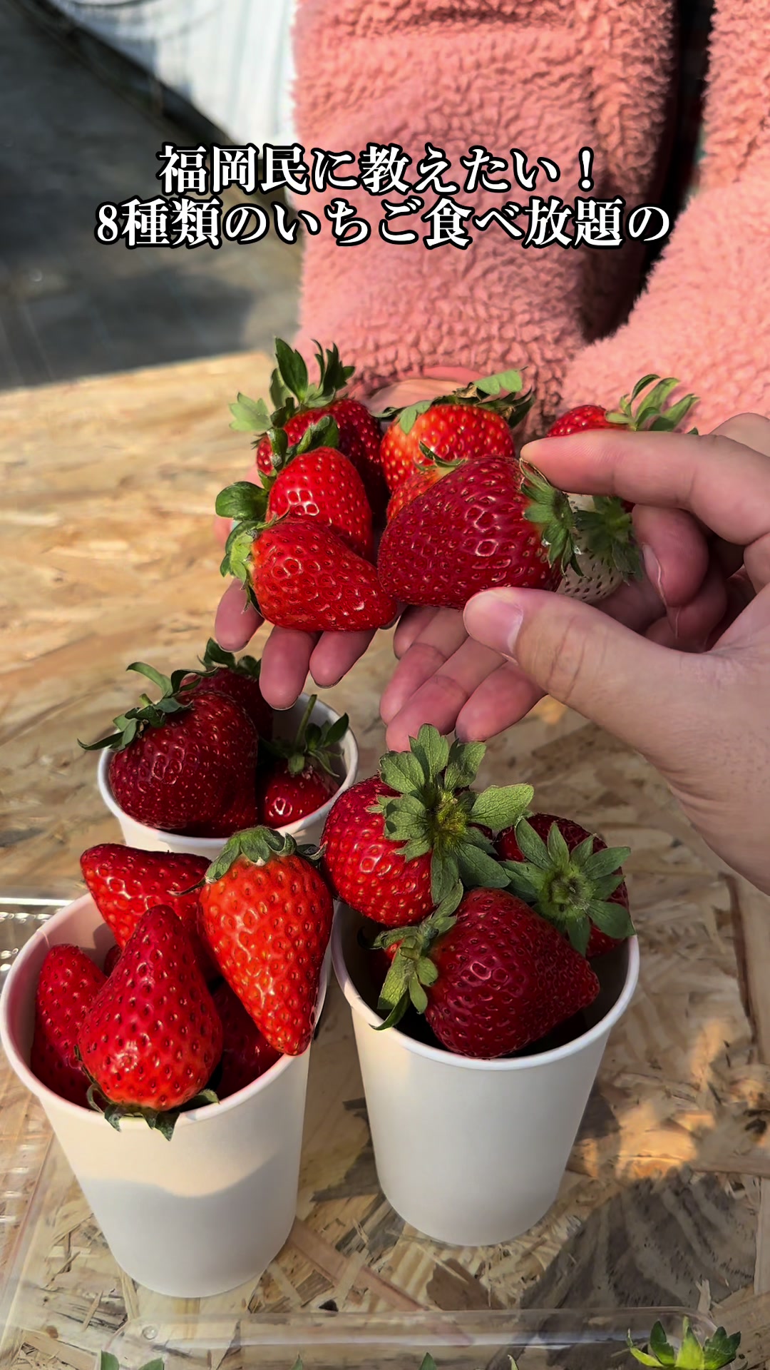 糸島イチゴ園キッチンカー🍓いちご狩り🍓