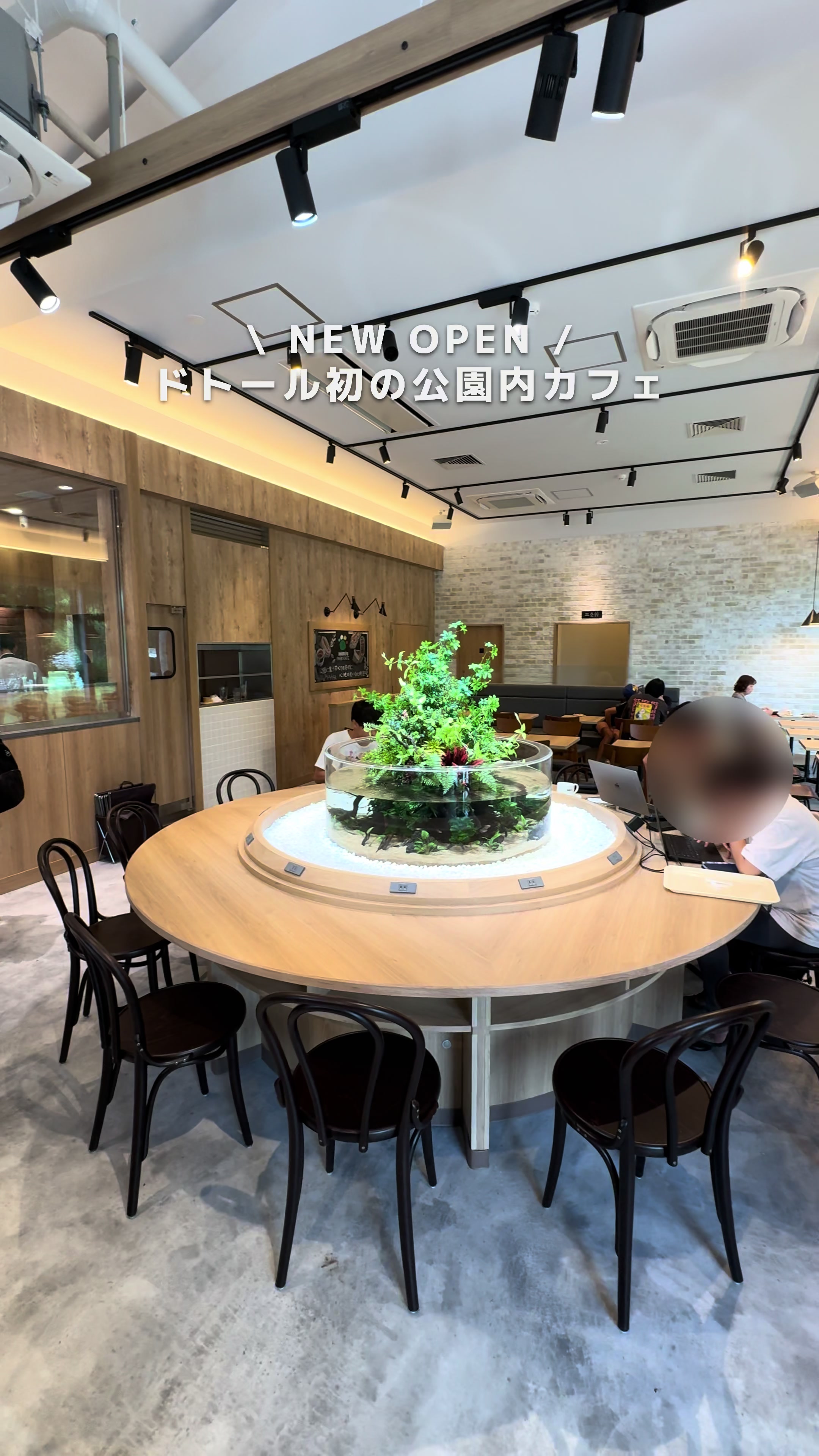 ドトール パークカフェ 柏の葉公園店