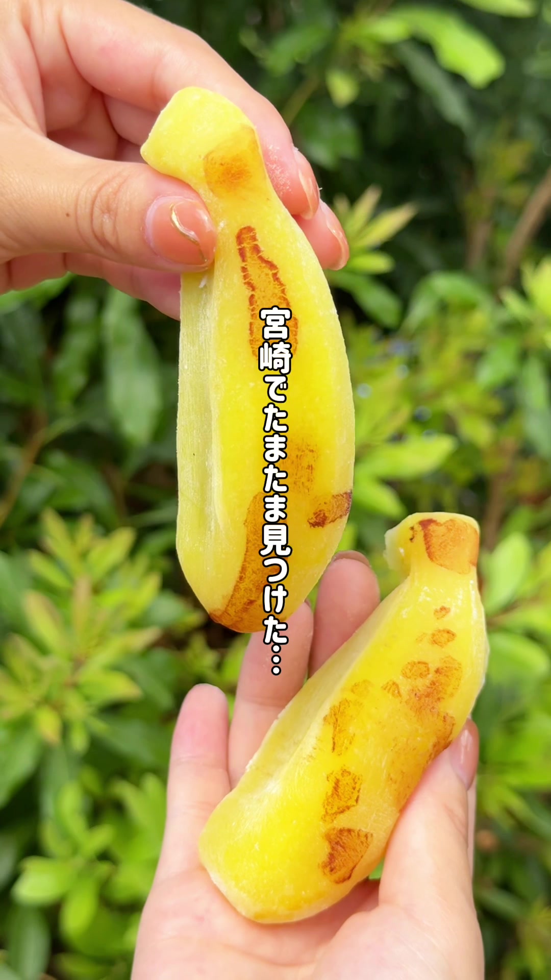 口福堂 イオンモール都城駅前店