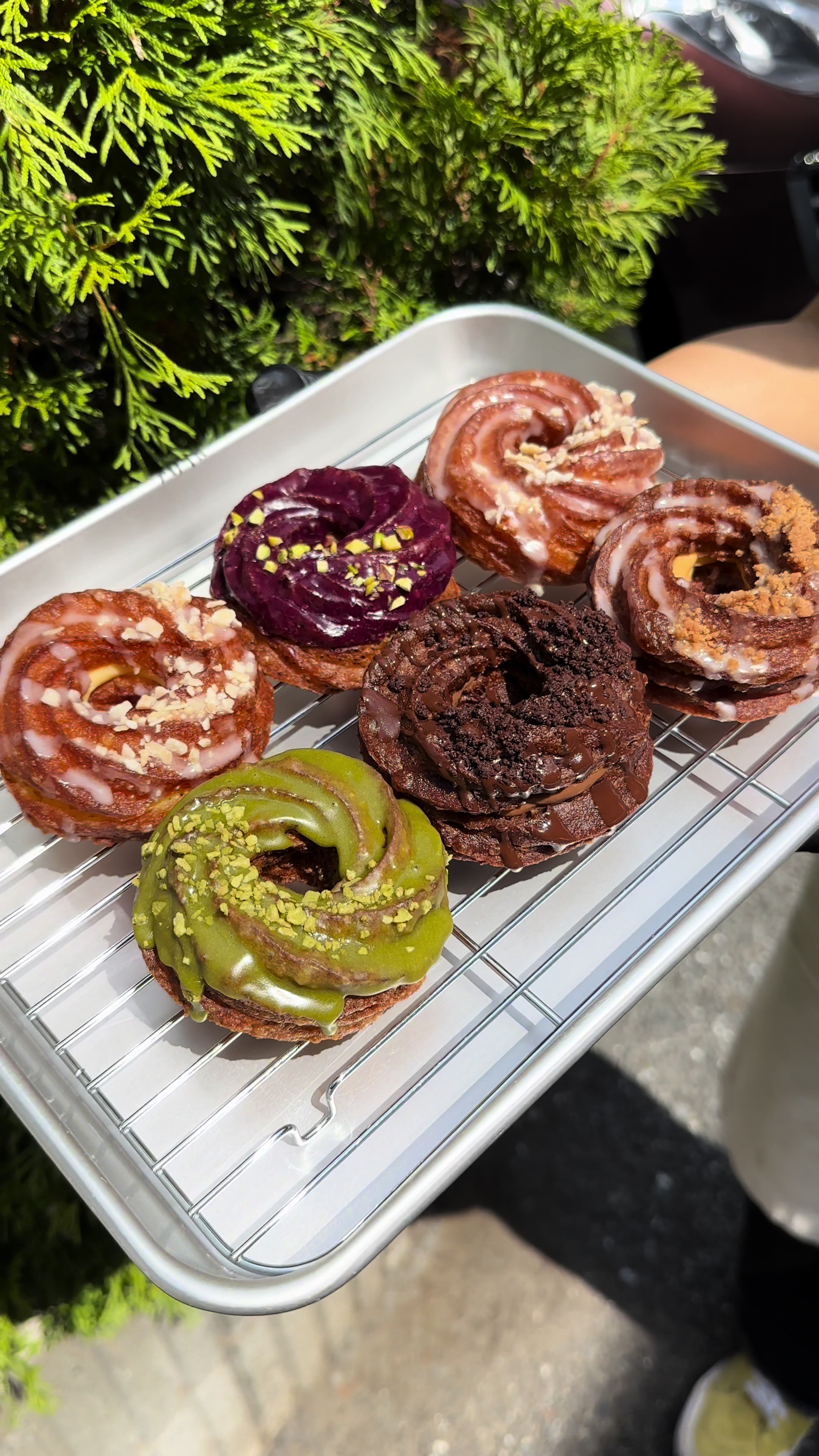 FRECKLE donuts