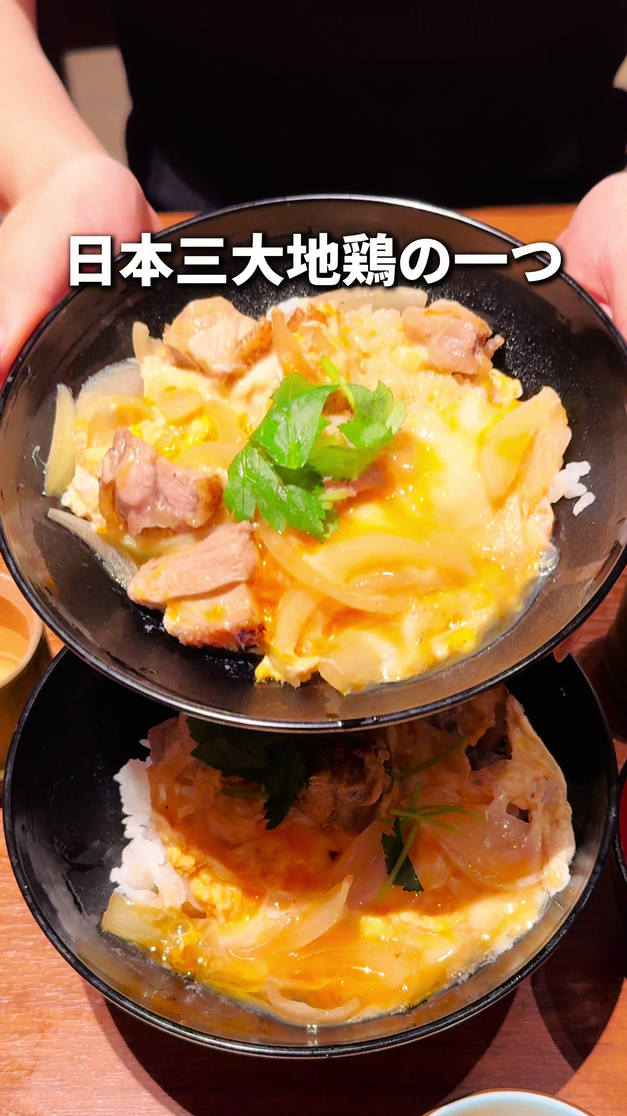 名古屋コーチン一鳳 赤坂弌鳥