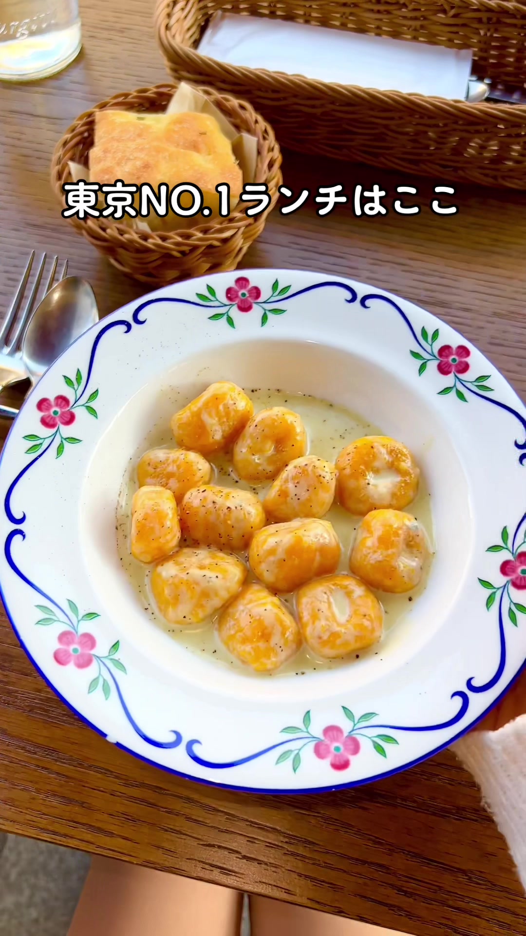 バールアリメンターリダニエラ