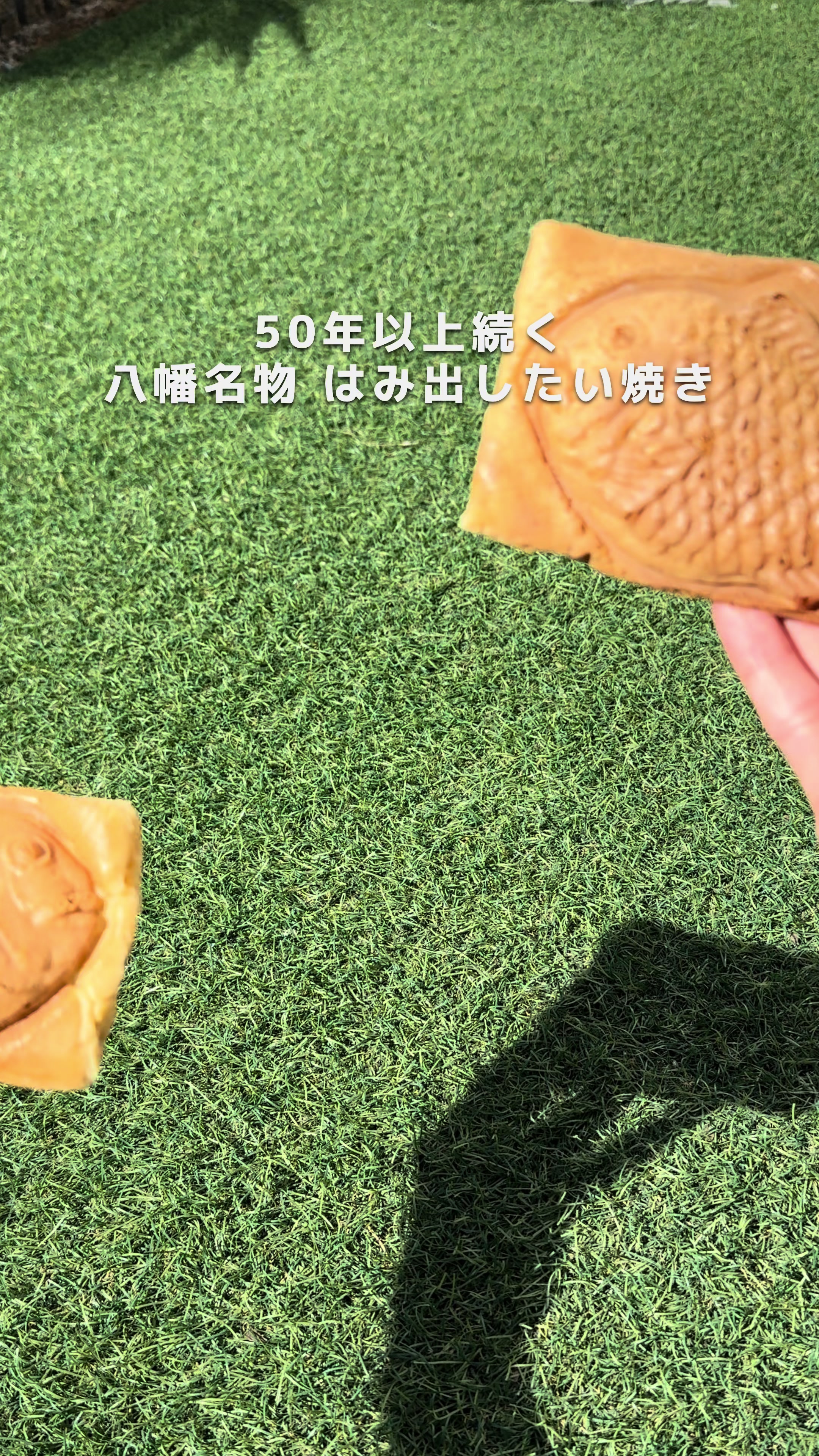 はみだしたいやき