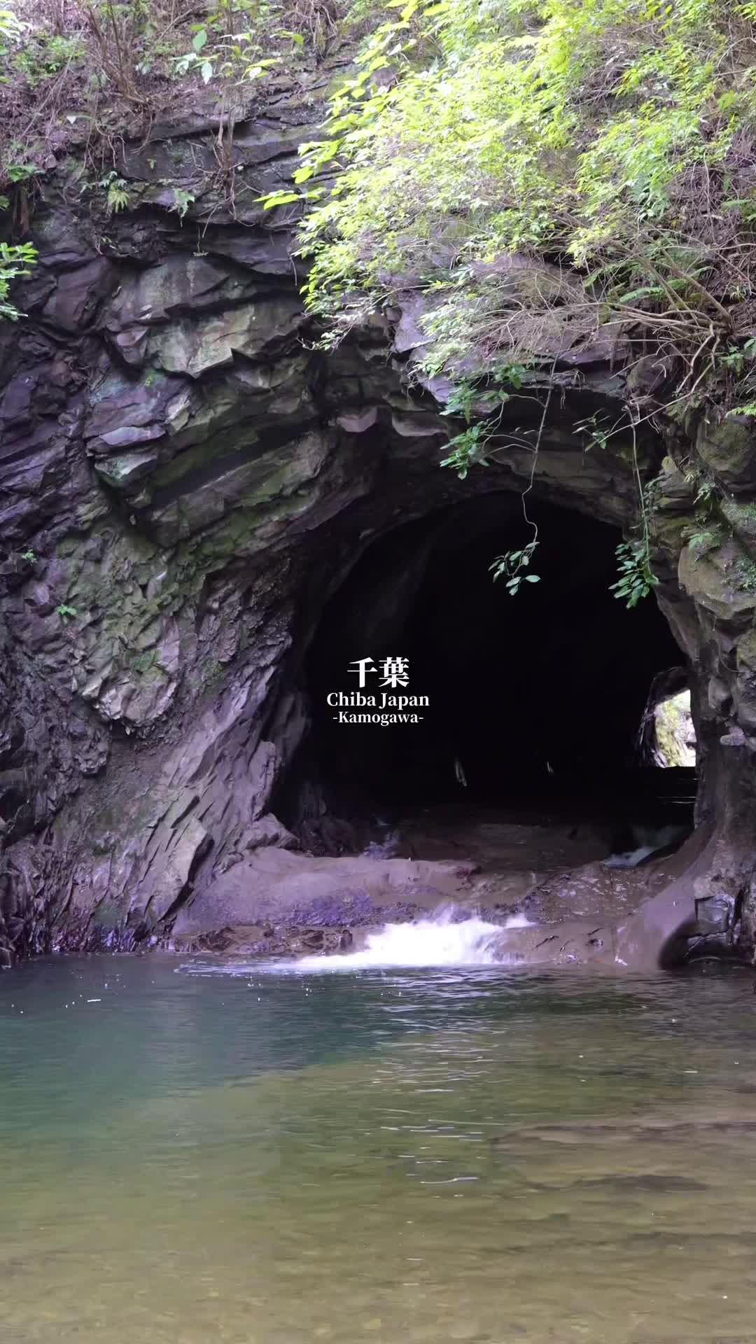 穴の口