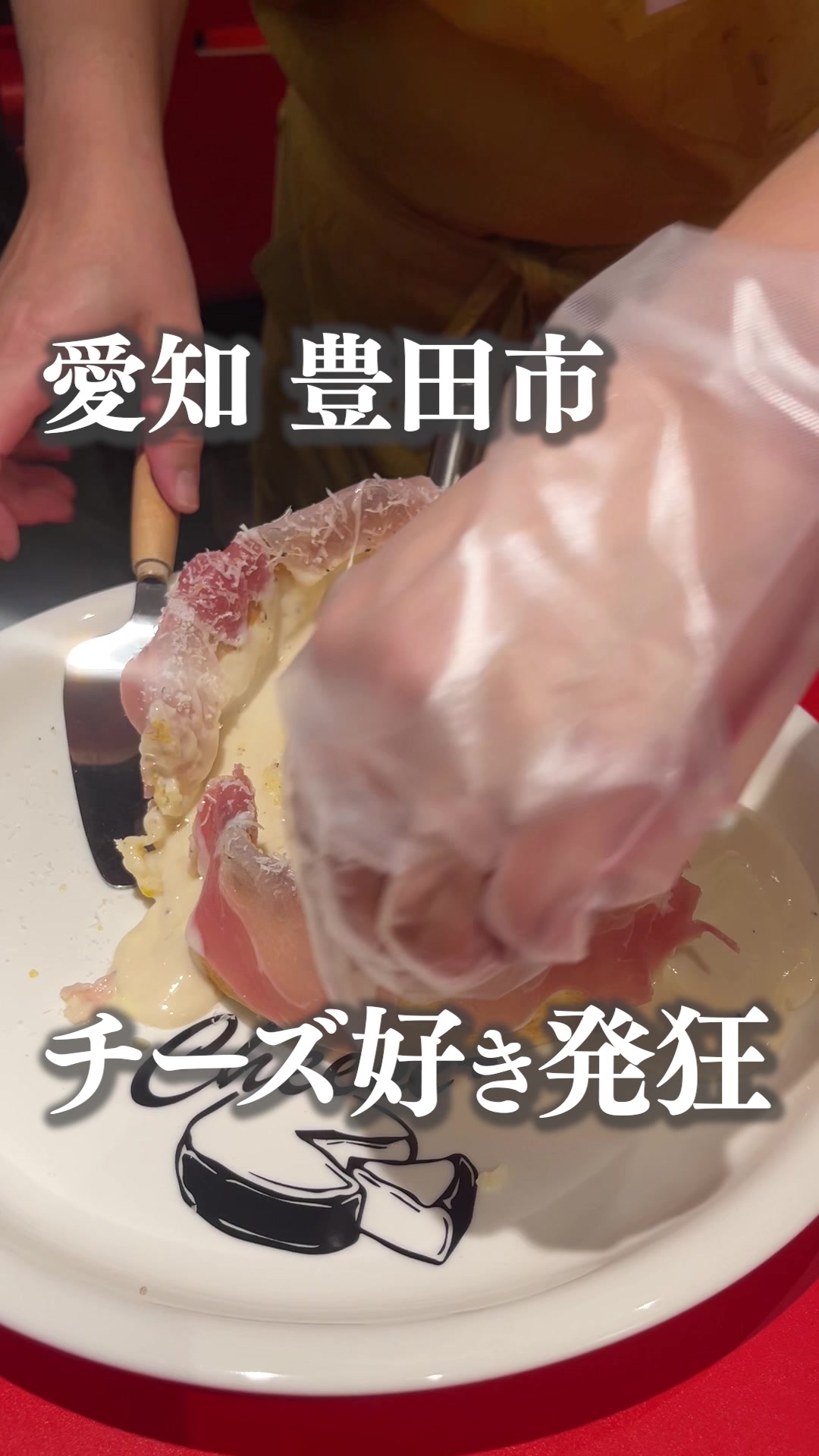 原価ビストロチーズプラス 豊田