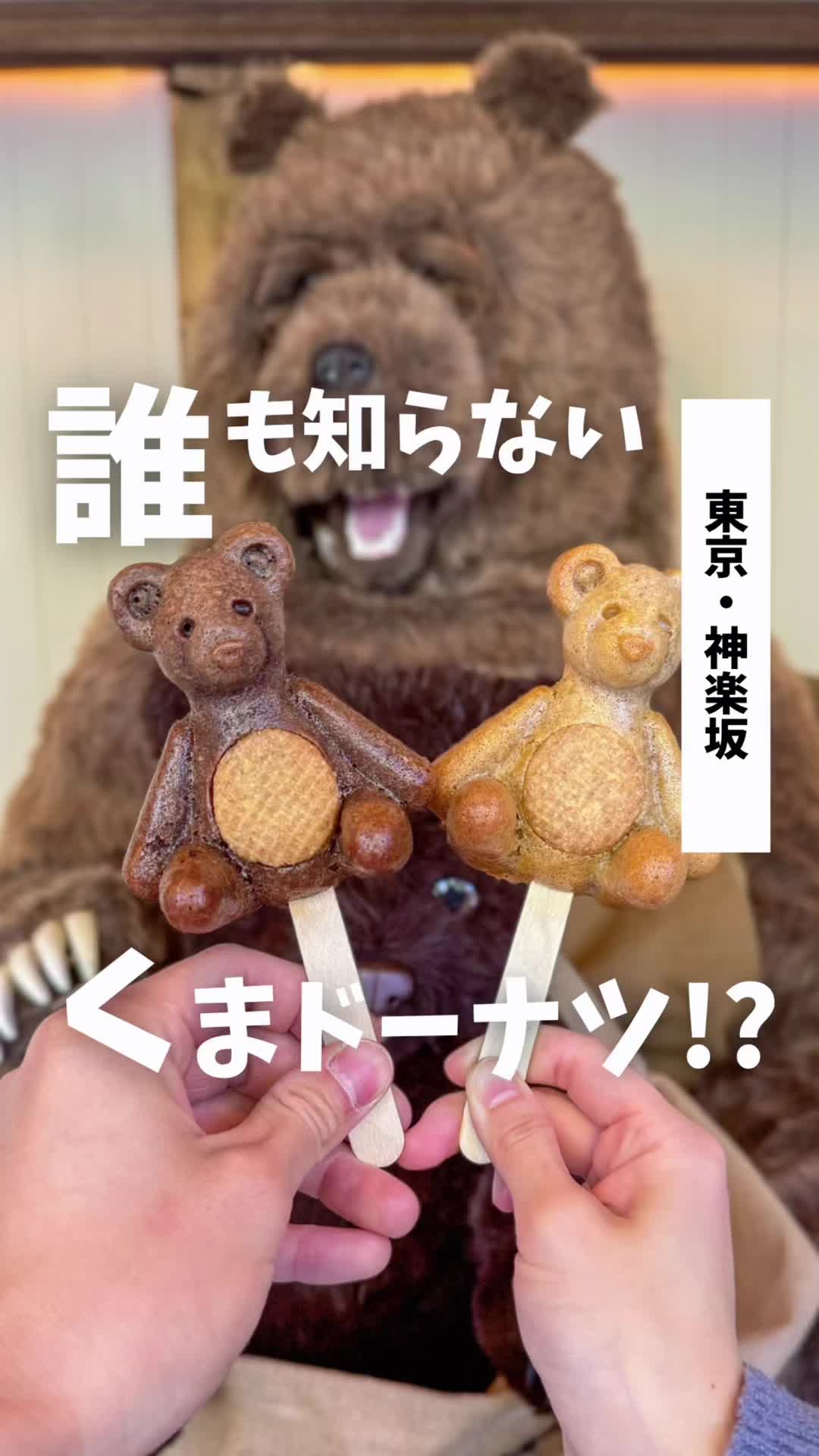 little bear meister