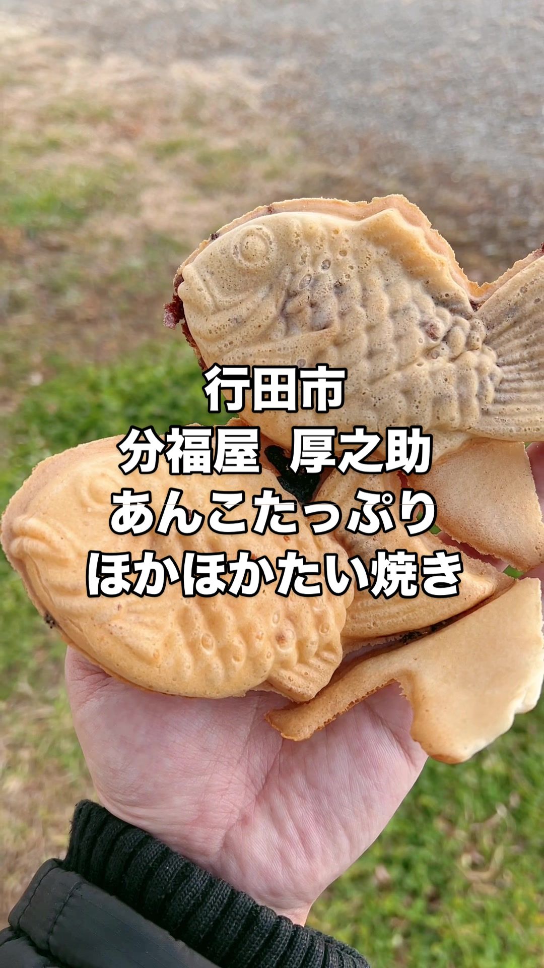 たいやき処 分福屋 厚之助