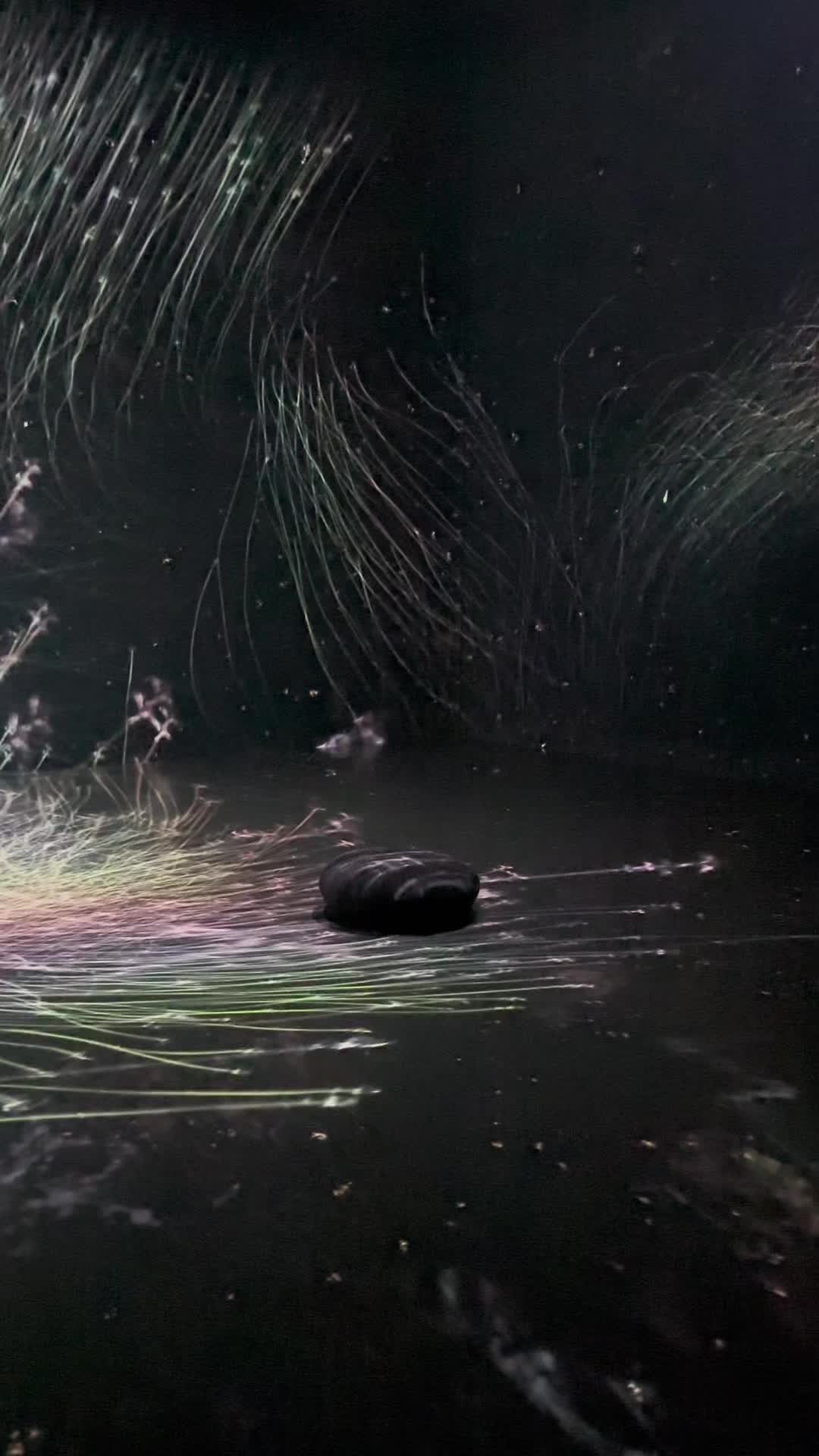 永平寺町魅力発信交流施設えい坊館