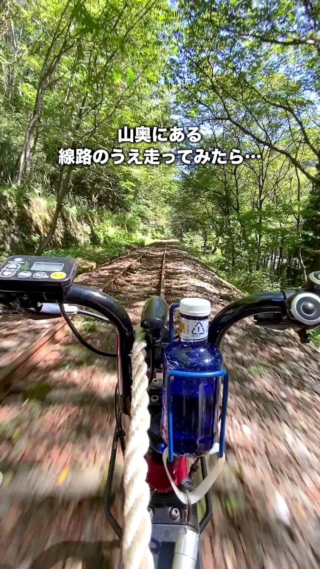 レールマウンテンバイクGattan Go!!渓谷コース