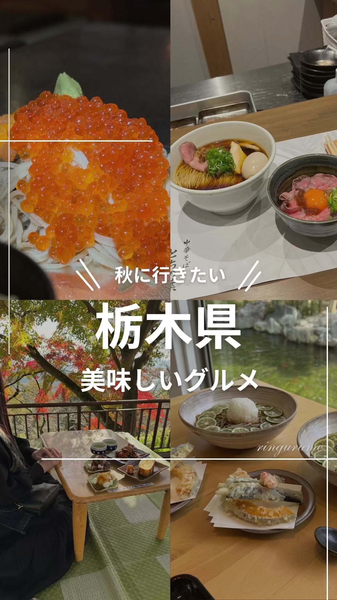 中華そば とちの葉