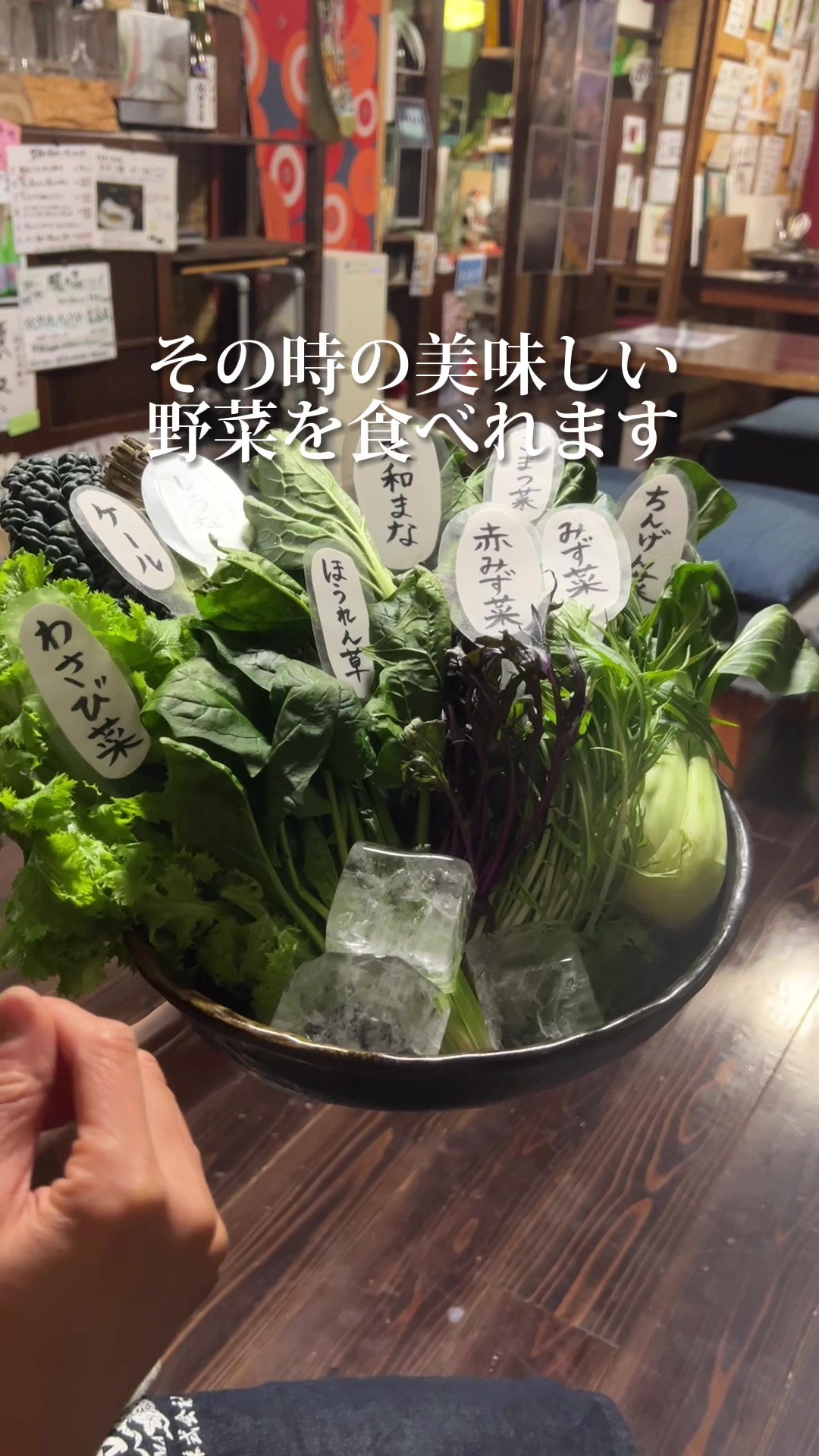 豐樂(とよのあかり)