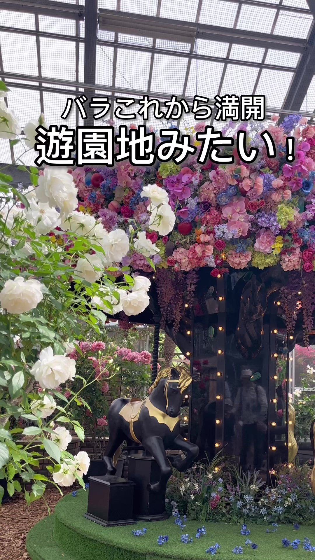 京成バラ園
