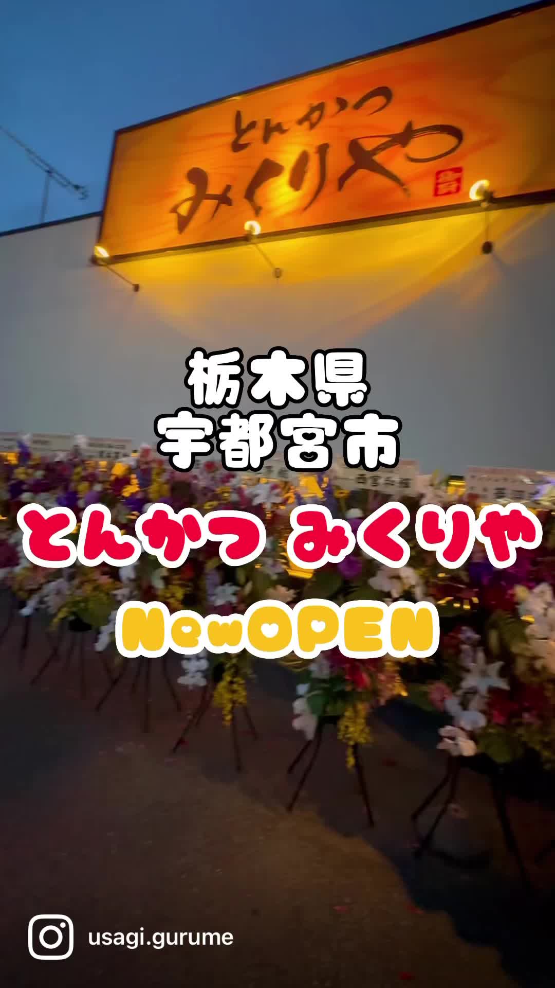 とんかつ みくりや