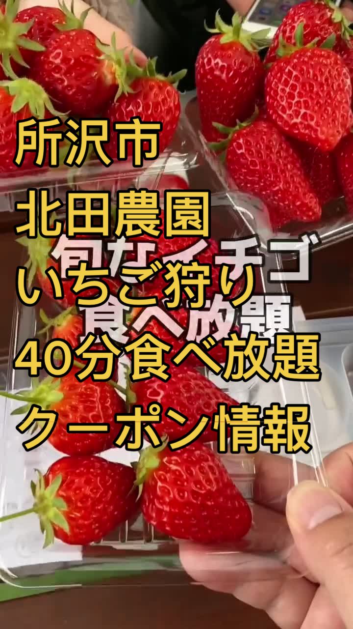 所沢北田農園いちごのマルシェ